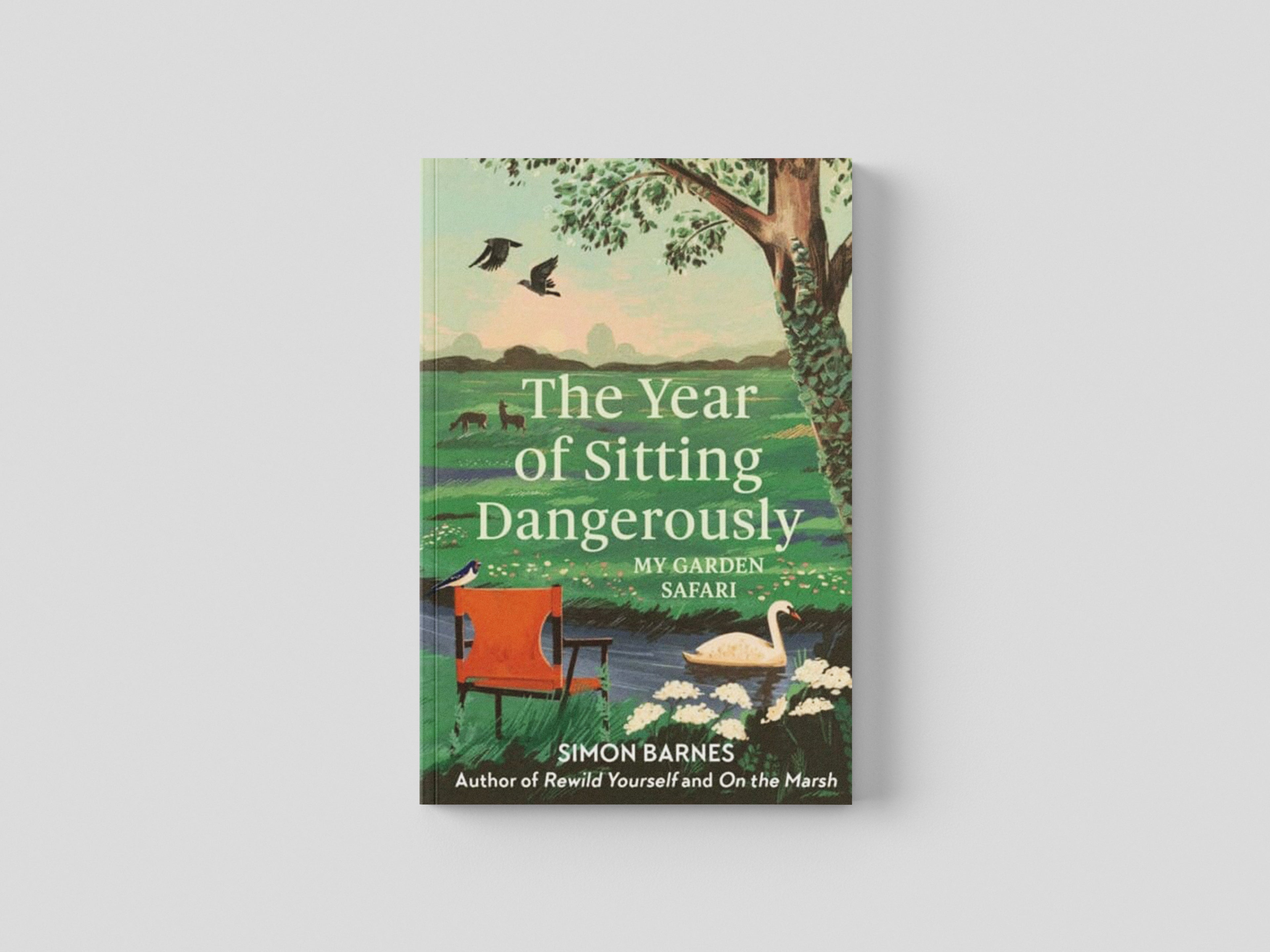 The Year of Sitting Dangerously Hardback