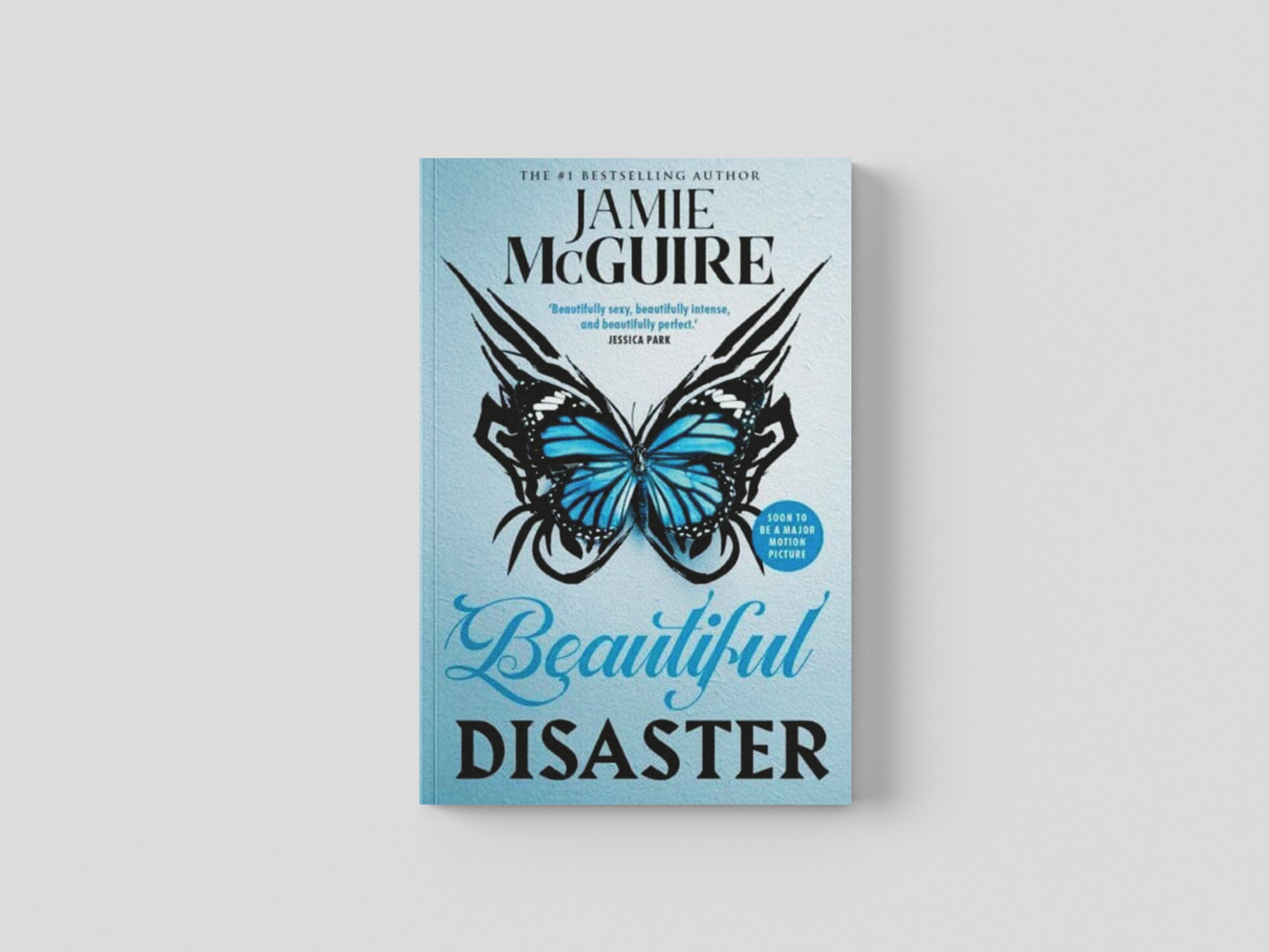 Beautiful Disaster Paperback / softback