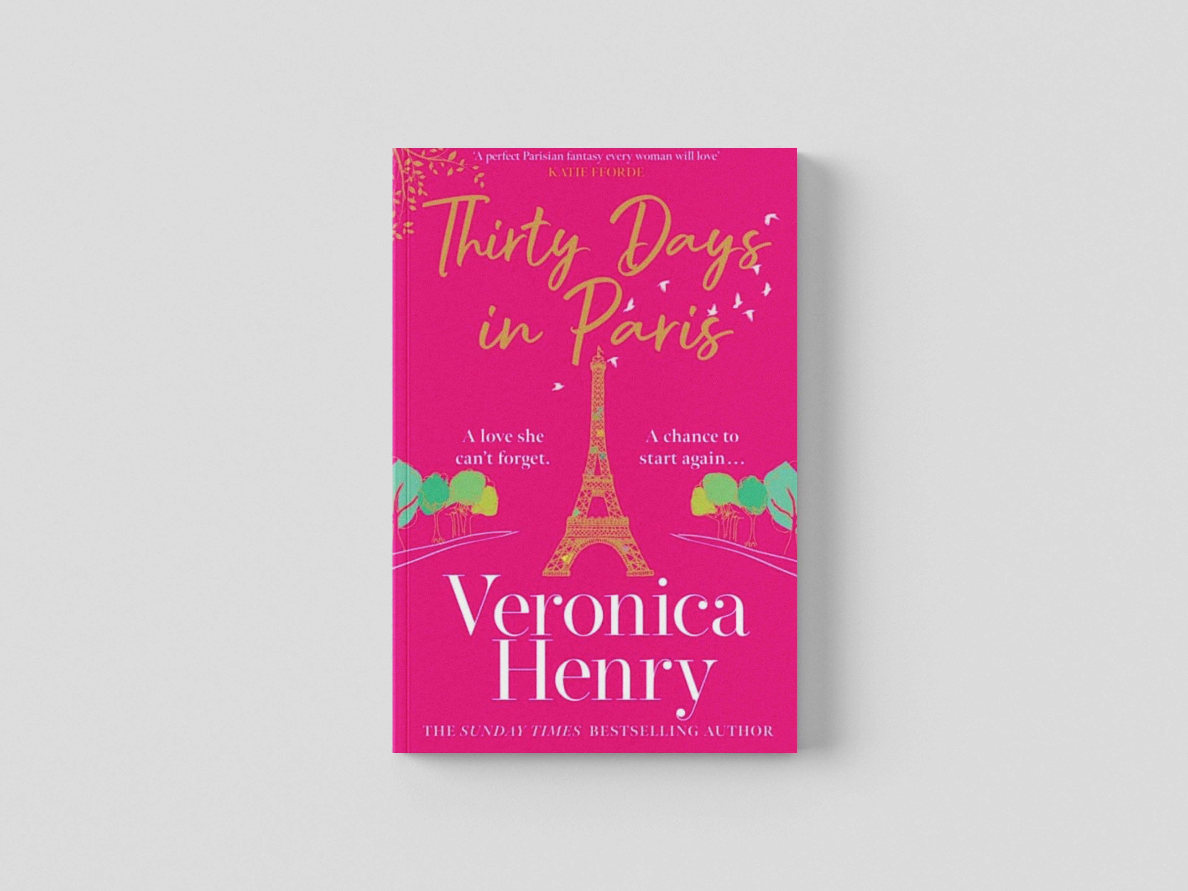 Thirty Days in Paris Paperback / softback