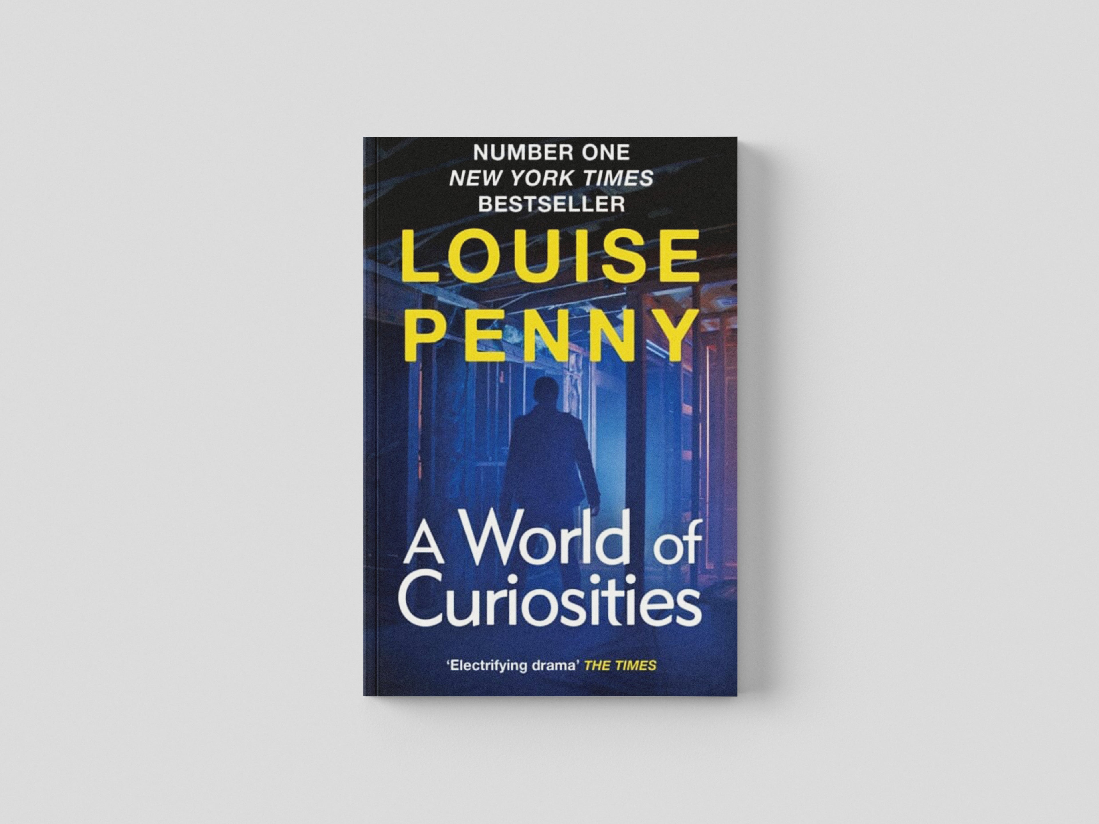 A World of Curiosities Paperback / softback