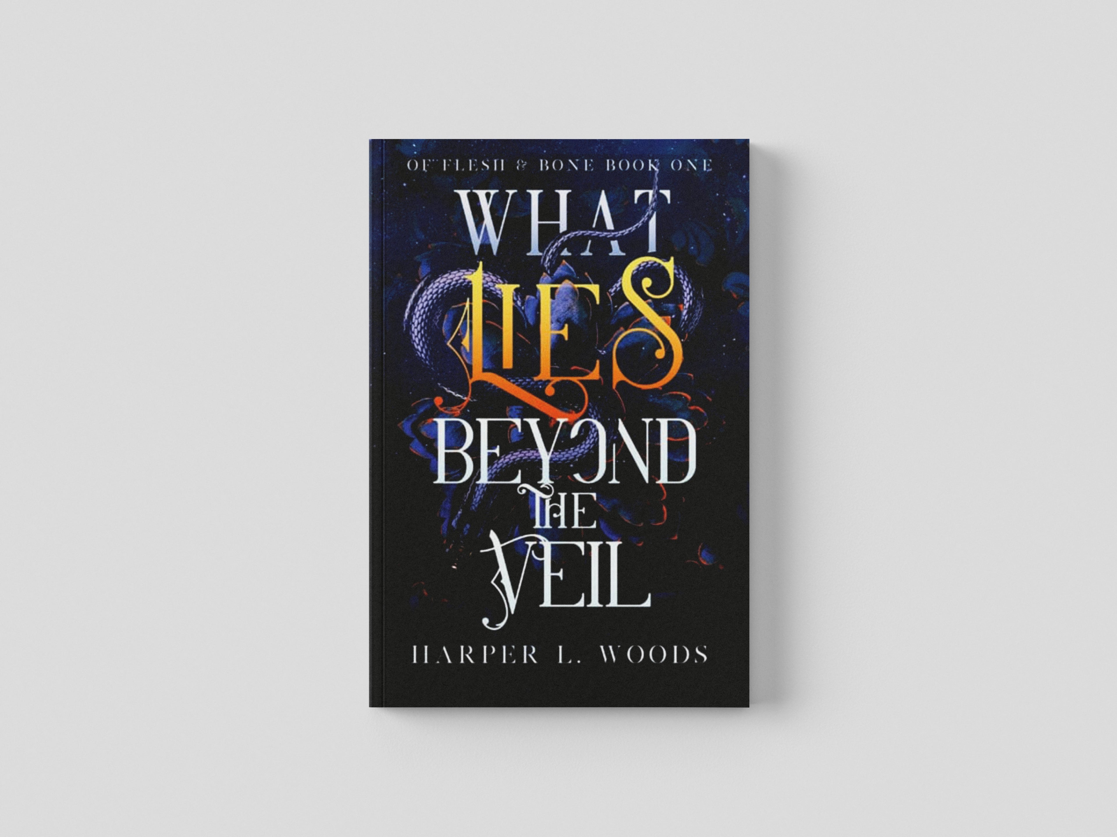 What Lies Beyond the Veil Paperback / softback