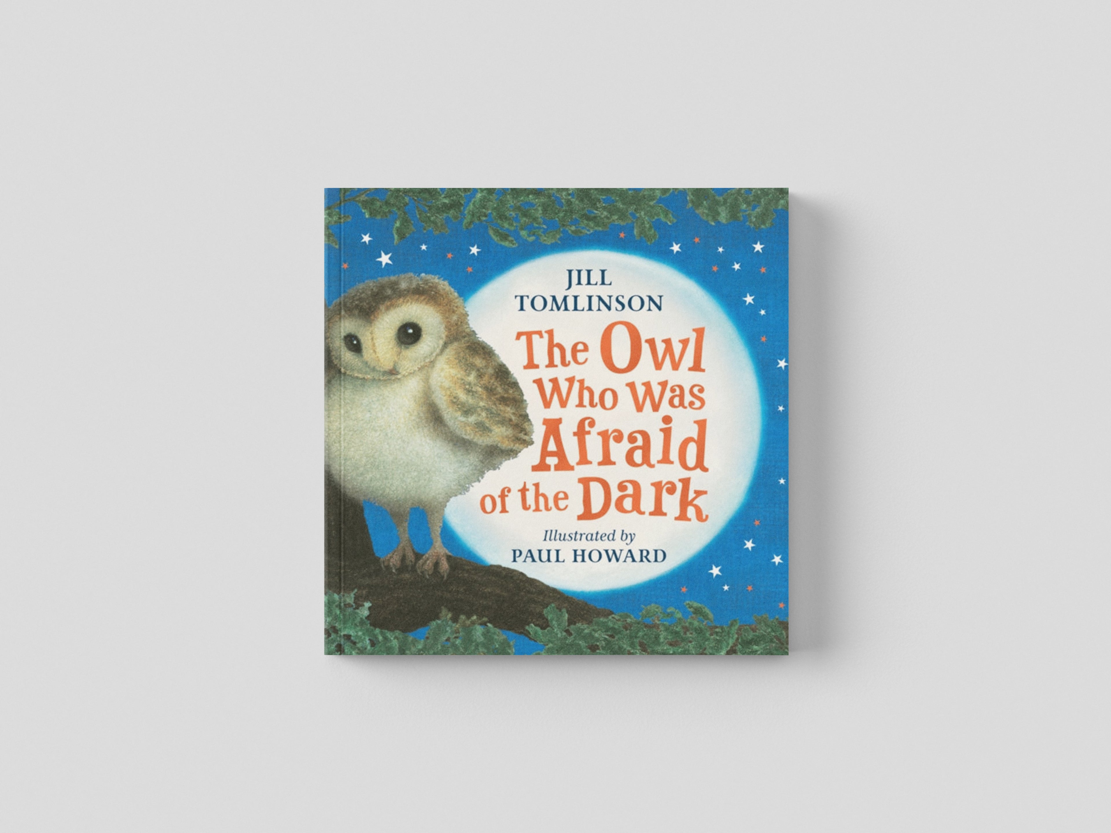 The Owl Who Was Afraid of the Dark Paperback / softback