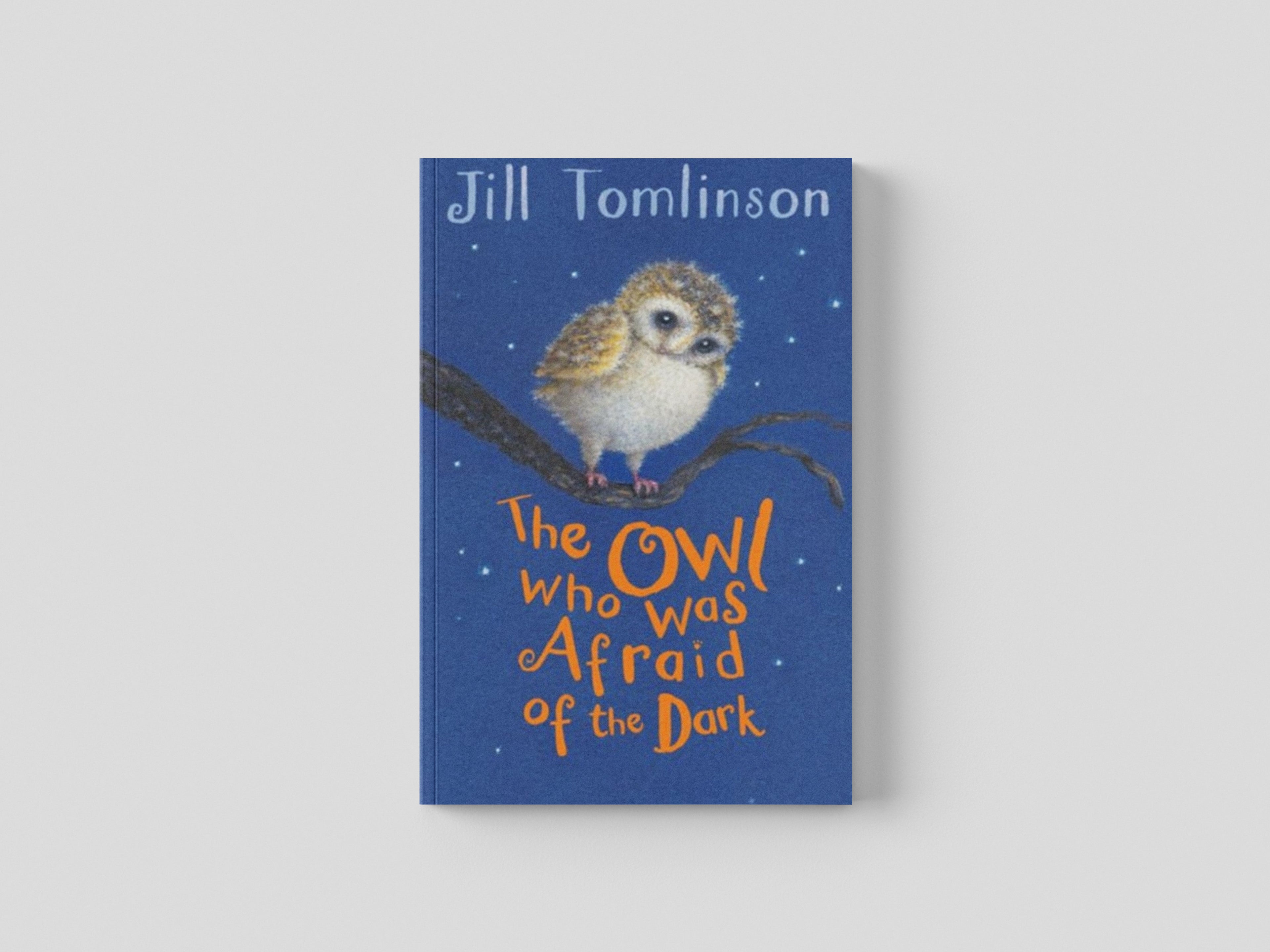 The Owl Who Was Afraid of the Dark Paperback / softback