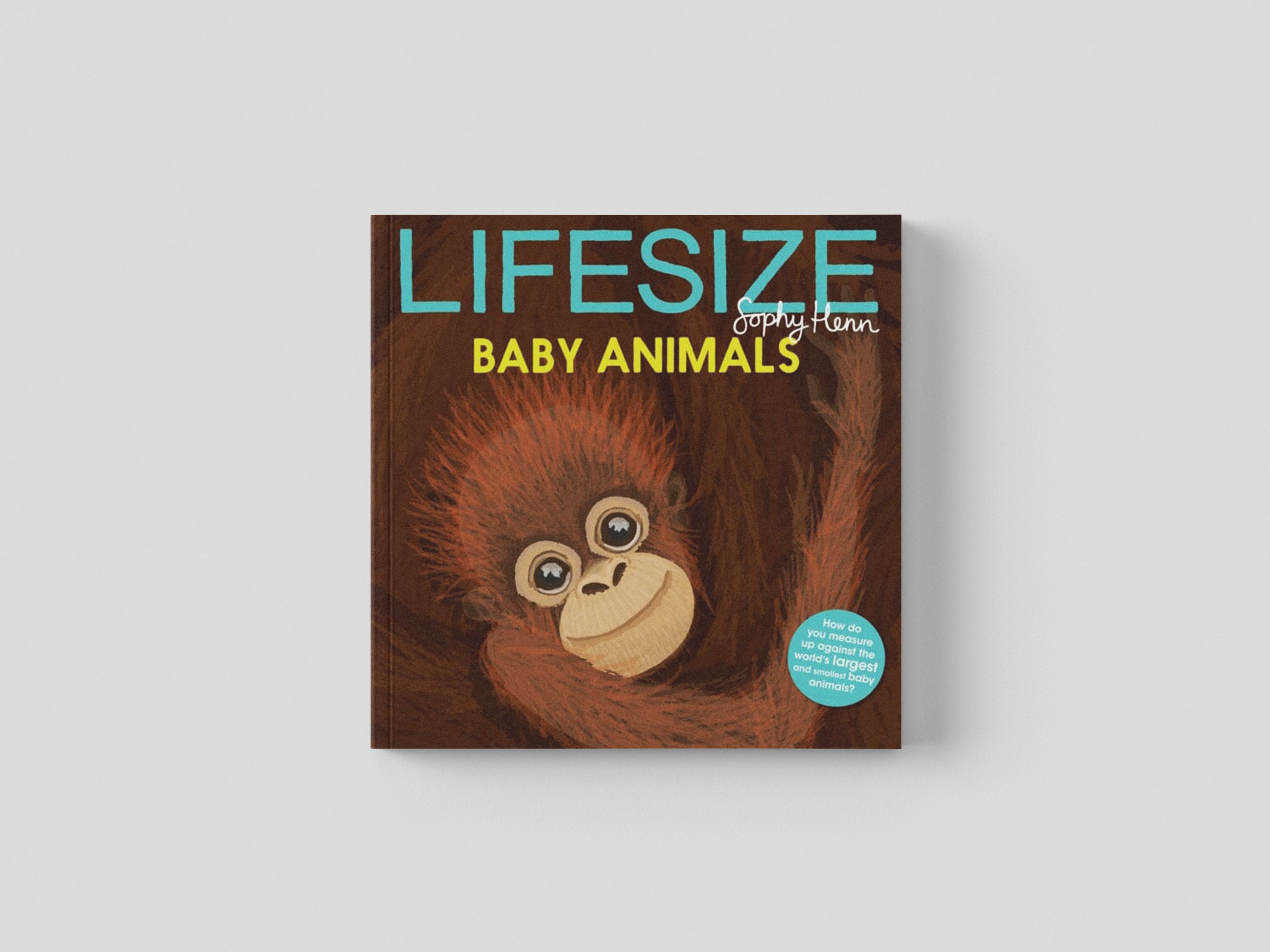 Lifesize Baby Animals Paperback / softback