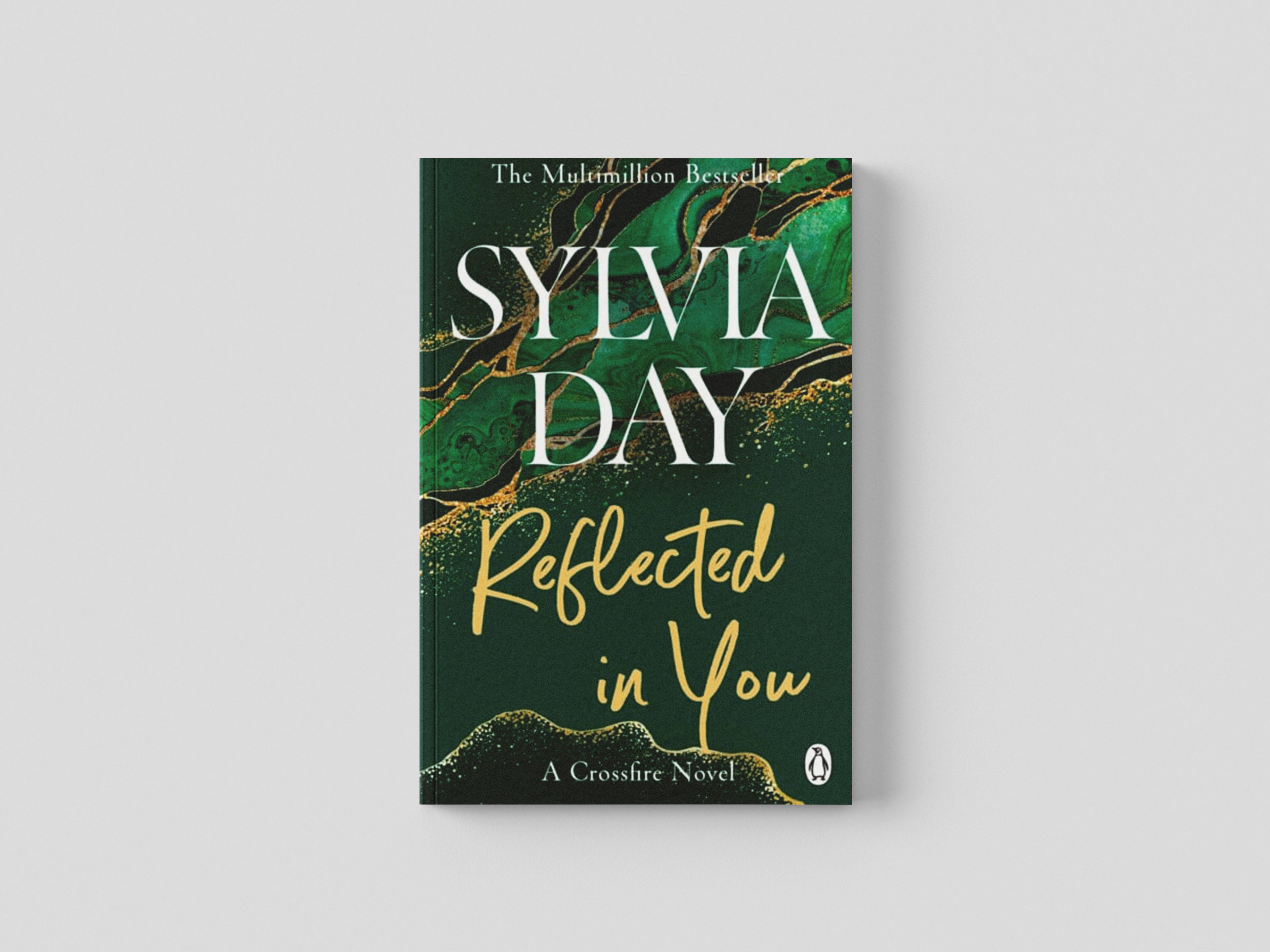 Reflected in You Paperback / softback