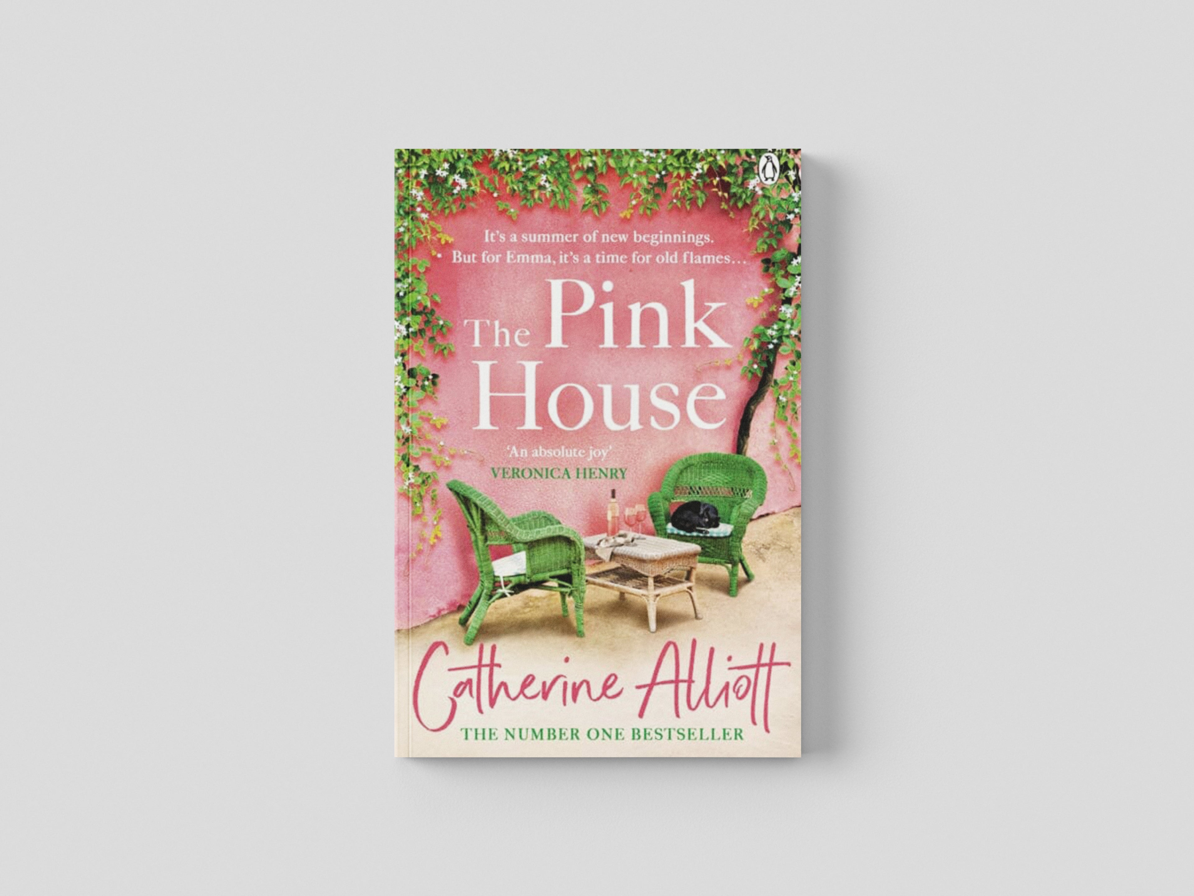 The Pink House Paperback / softback