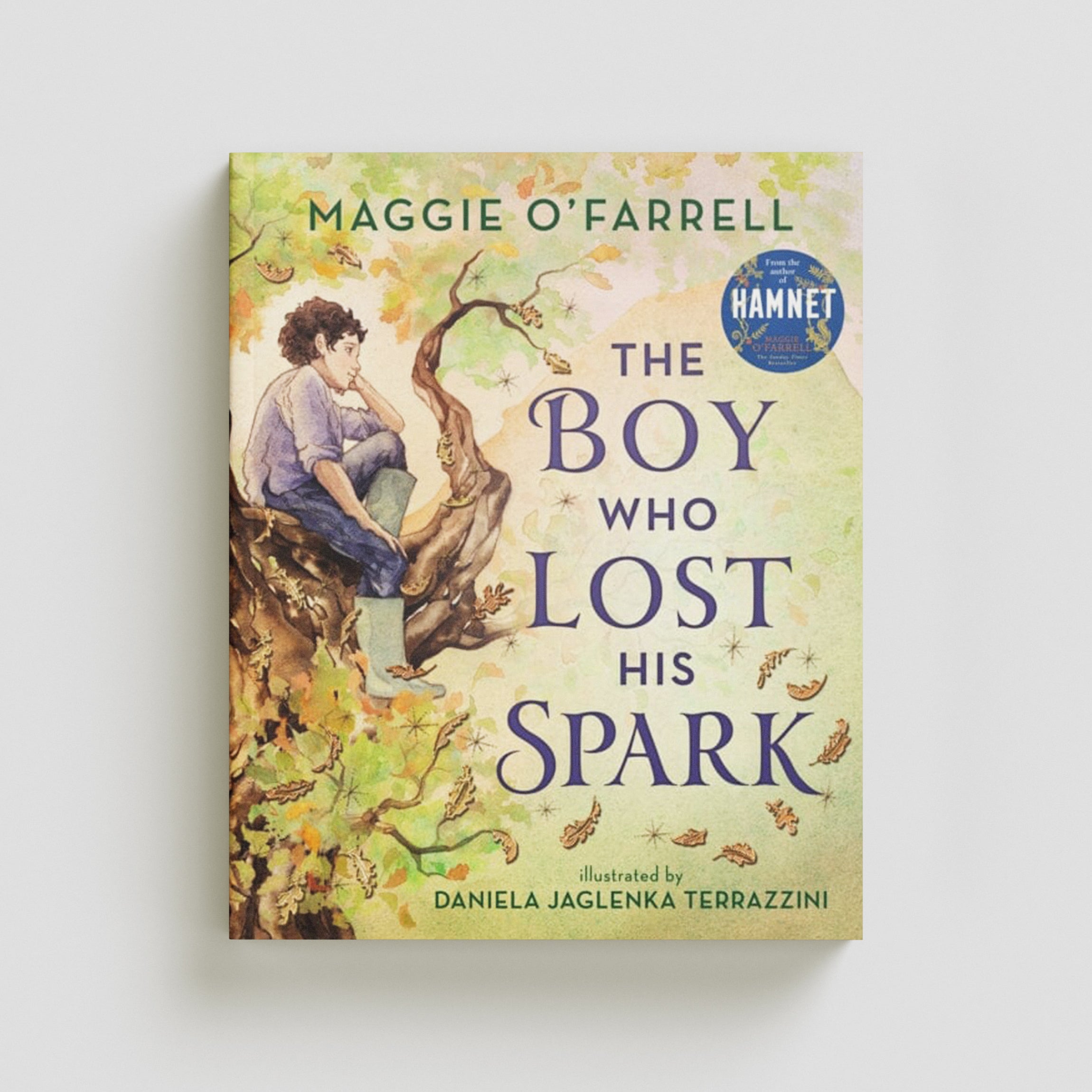 The Boy Who Lost His Spark Hardback