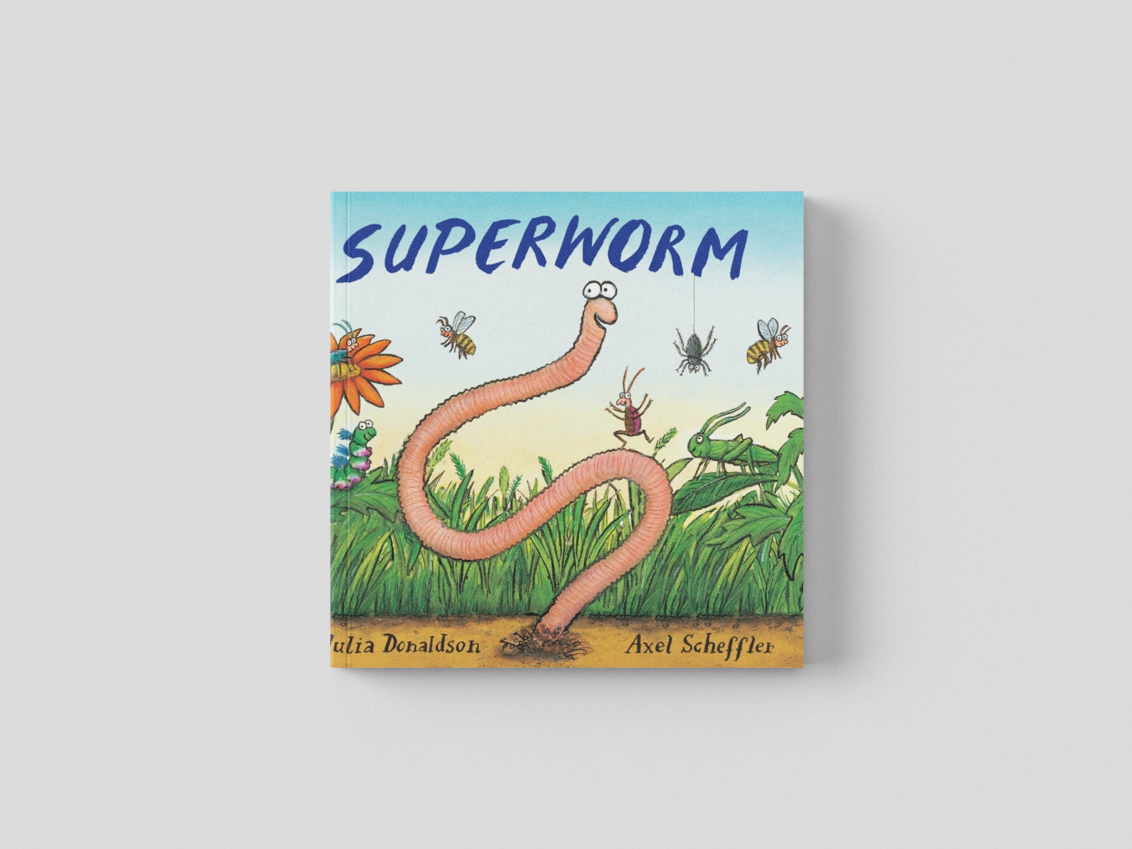 Superworm Gift Edition Board Book