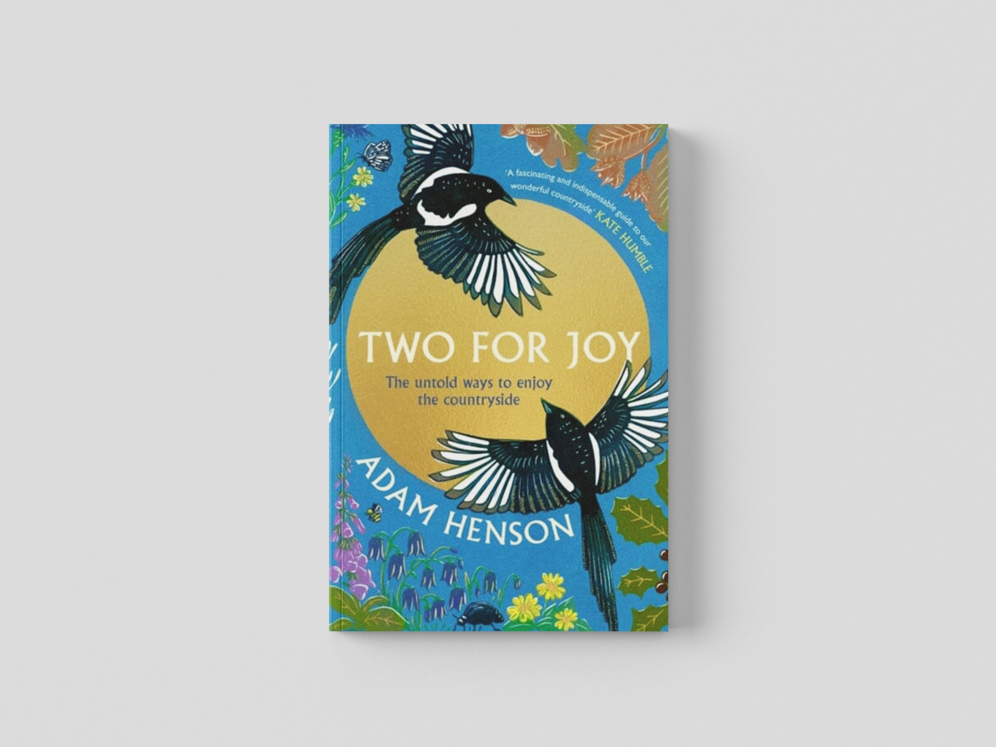Two for Joy Hardback