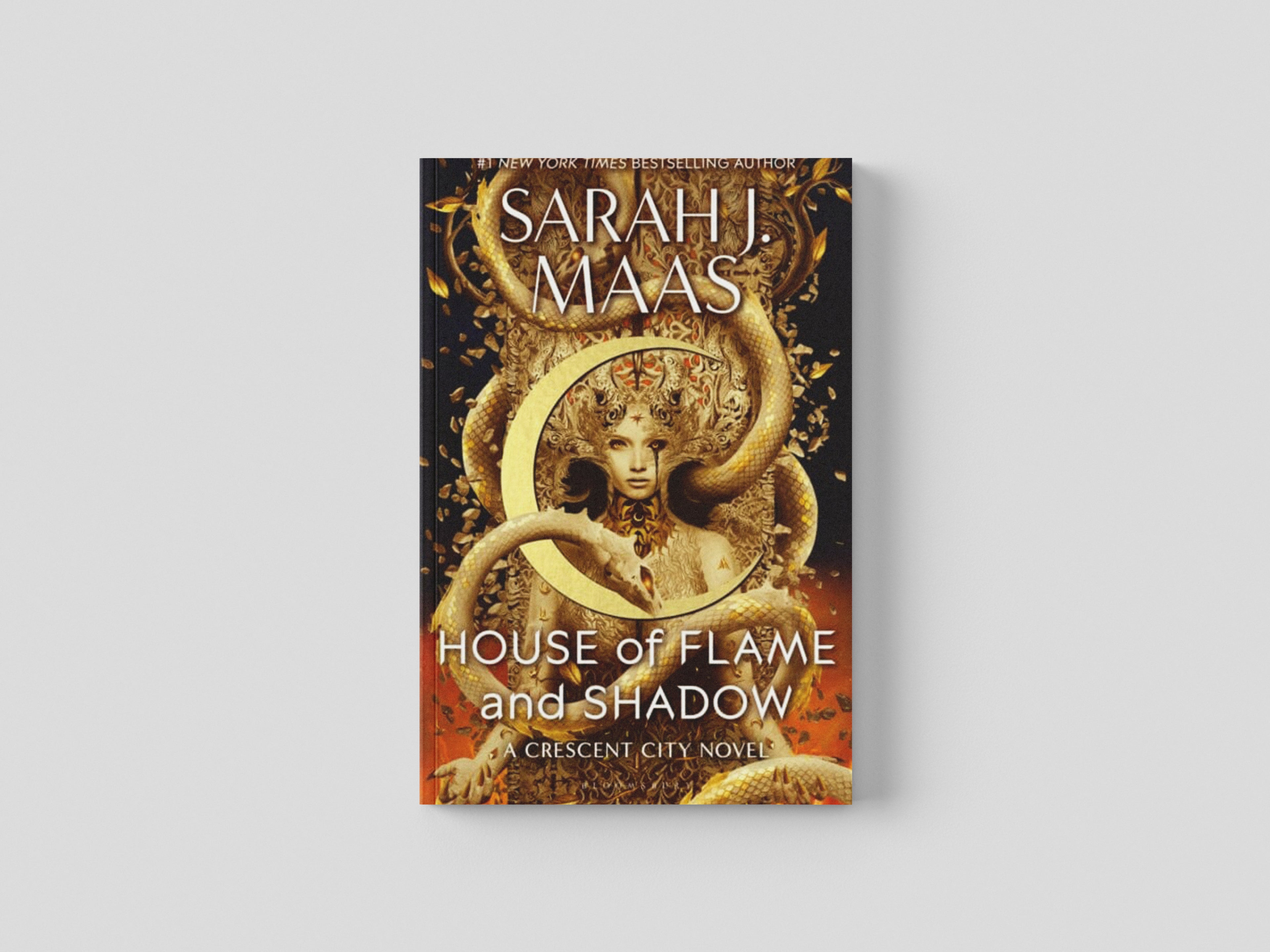 House of Flame and Shadow Hardback