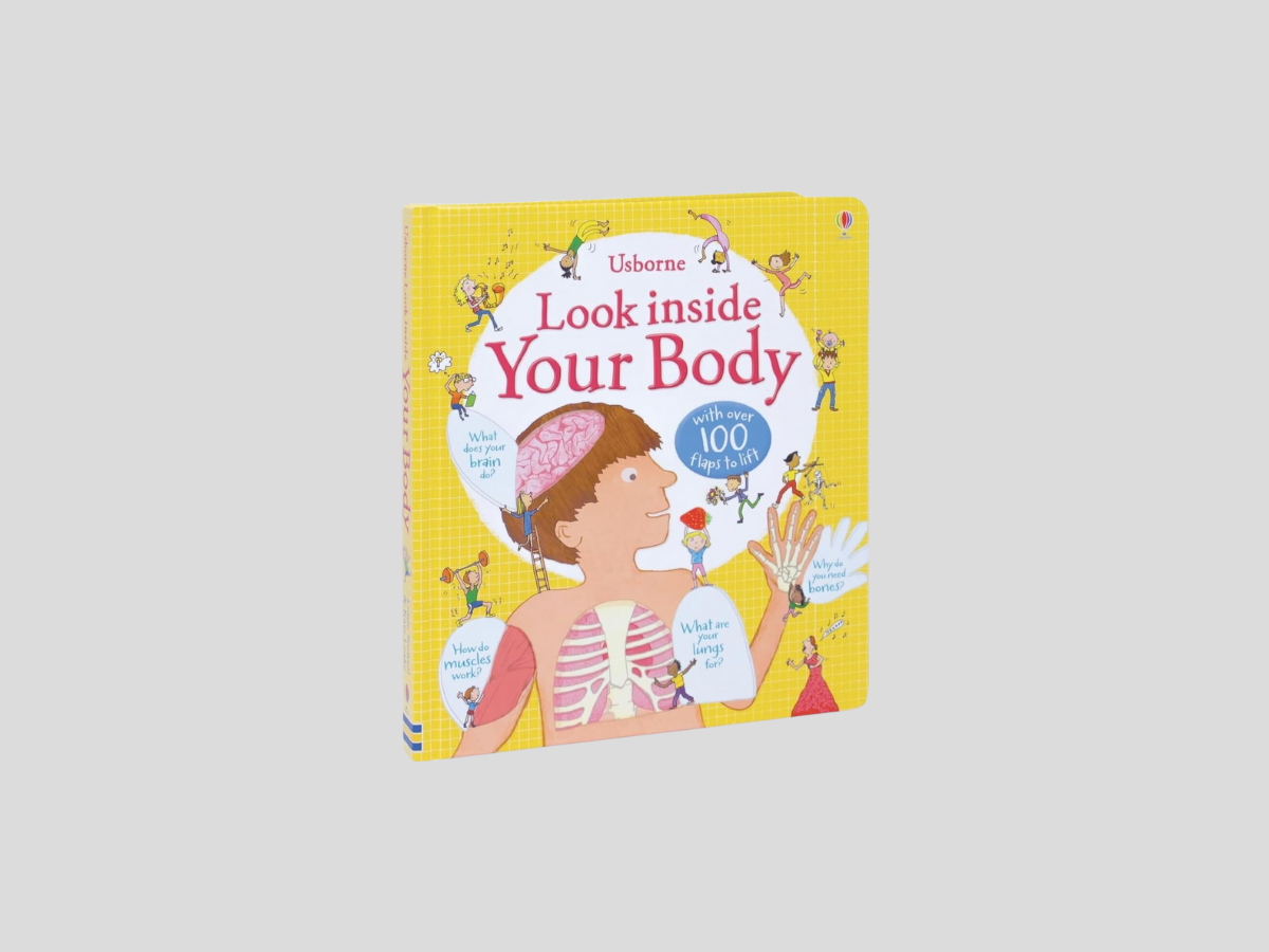 Usborne Lift-The-Flap: Look Inside Your Body