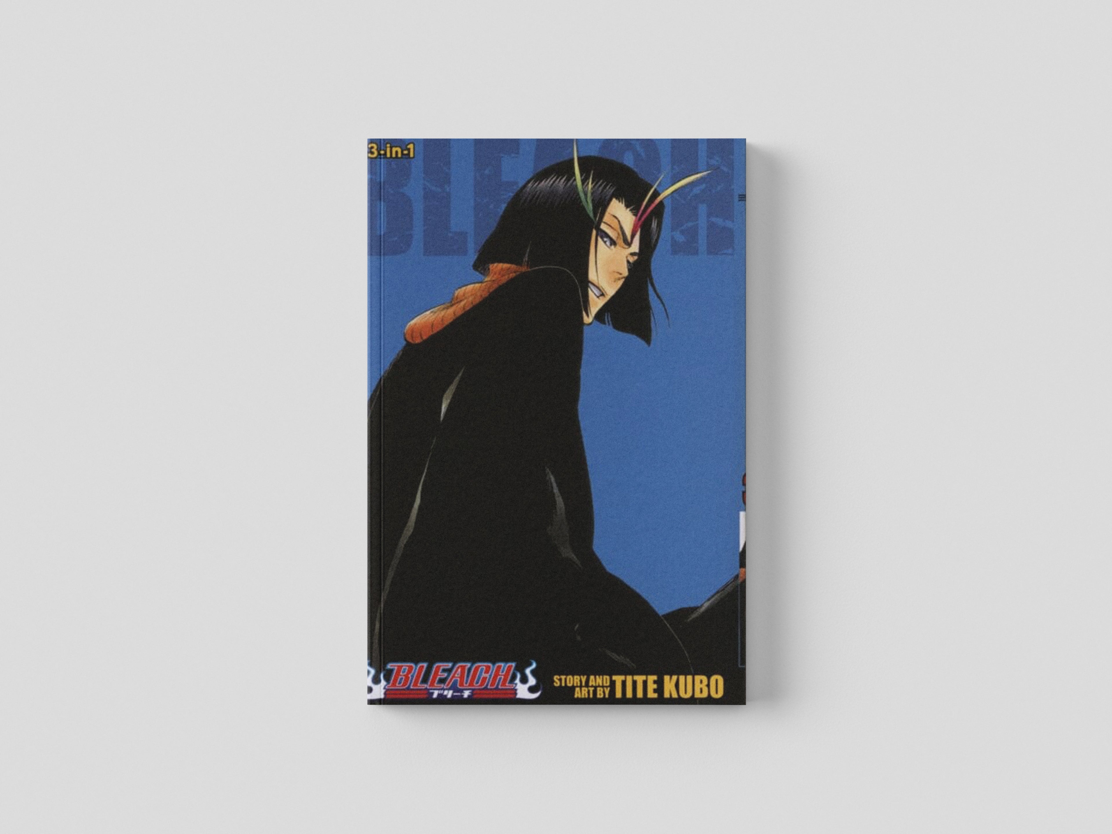 Bleach (3-in-1 Edition), Vol. 13 Paperback / softback