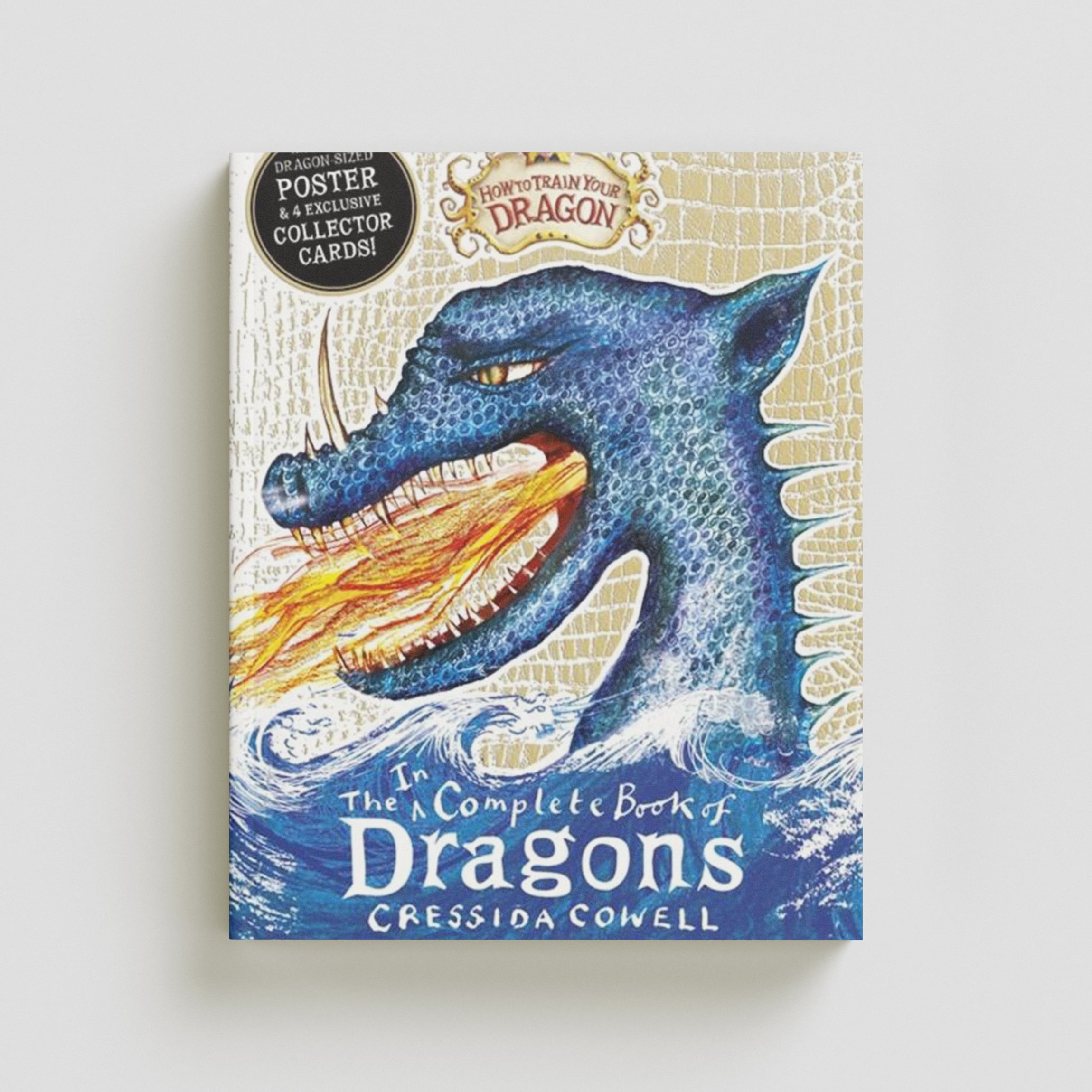 How to Train Your Dragon: Incomplete Book of Dragons Paperback / softback