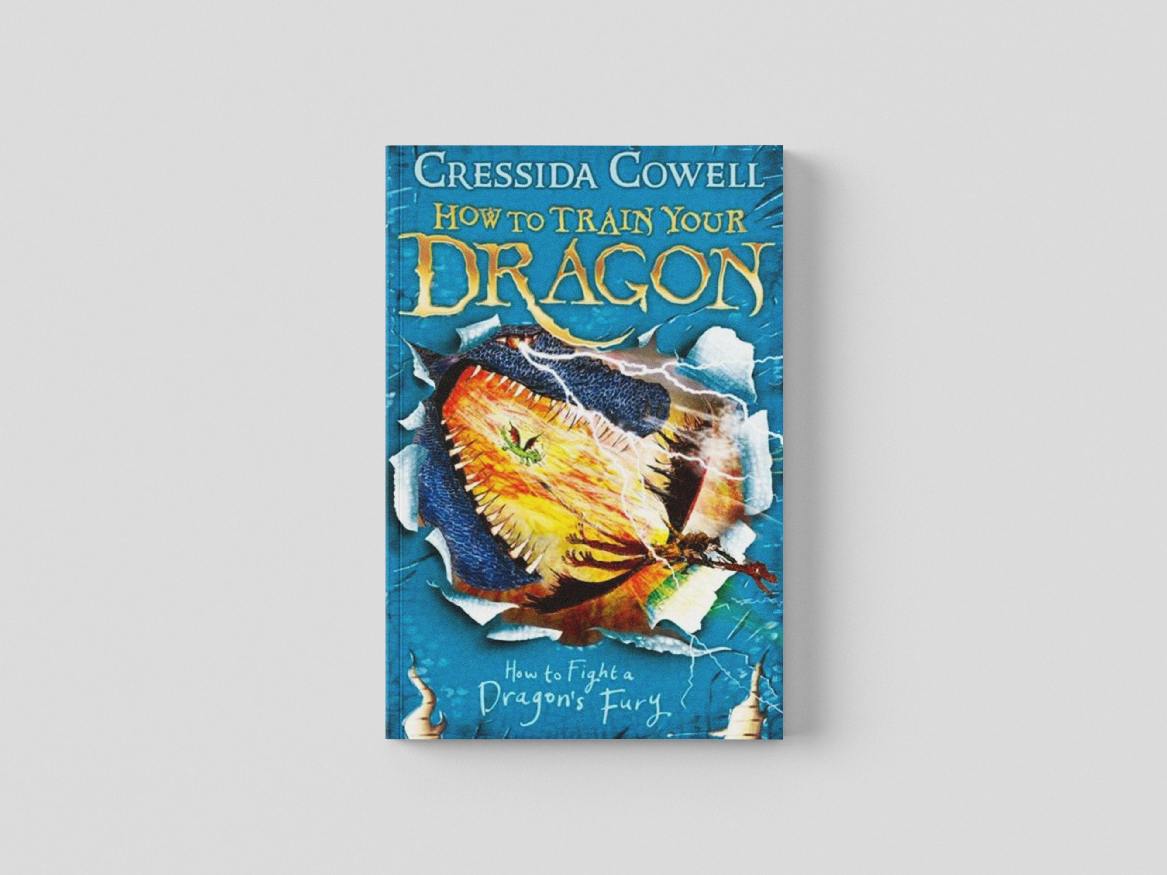 How to Train Your Dragon: How to Fight a Dragon's Fury Paperback / softback
