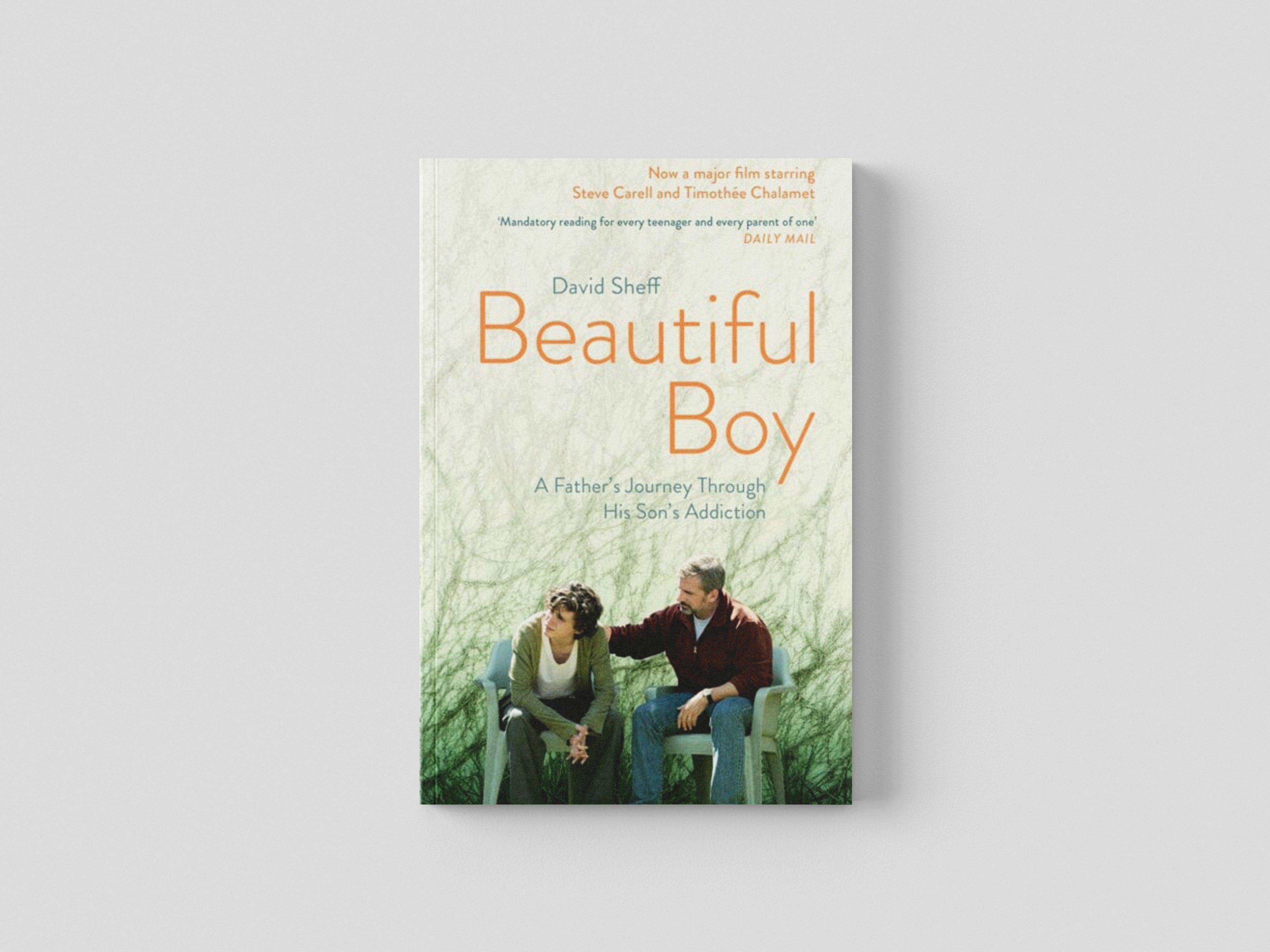 Beautiful Boy Paperback / softback