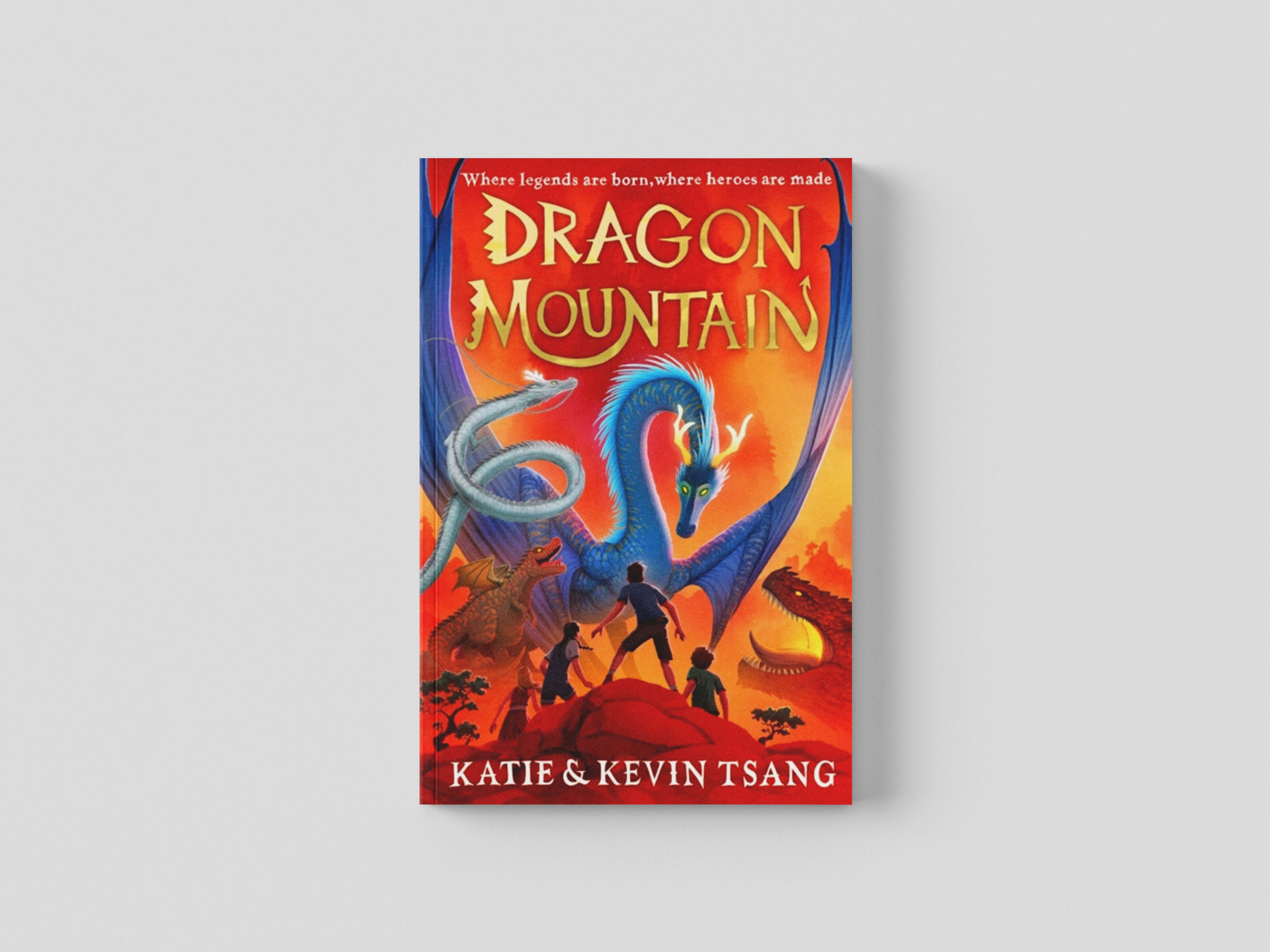Dragon Mountain Paperback / softback