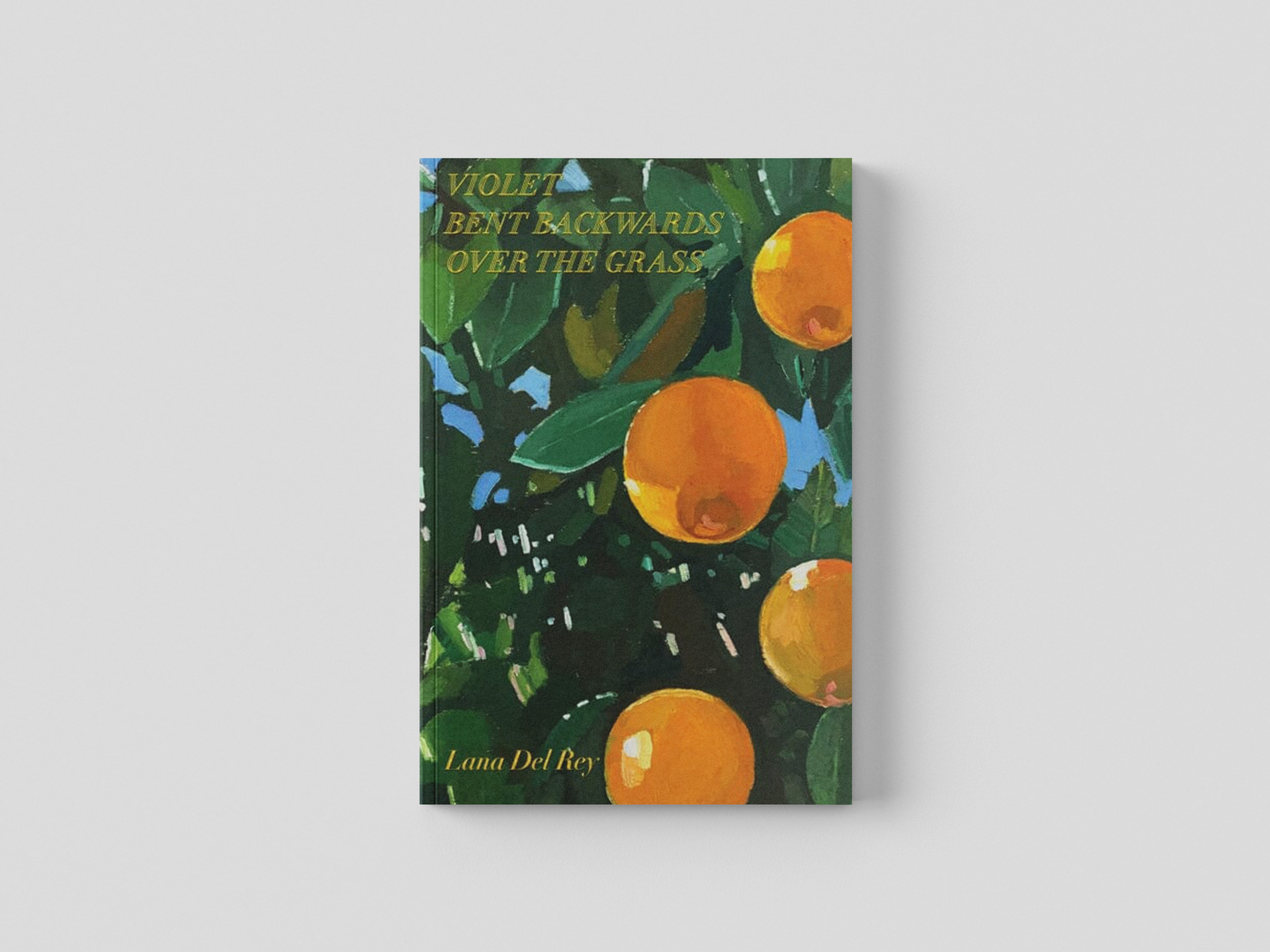 Violet Bent Backwards Over the Grass Hardback