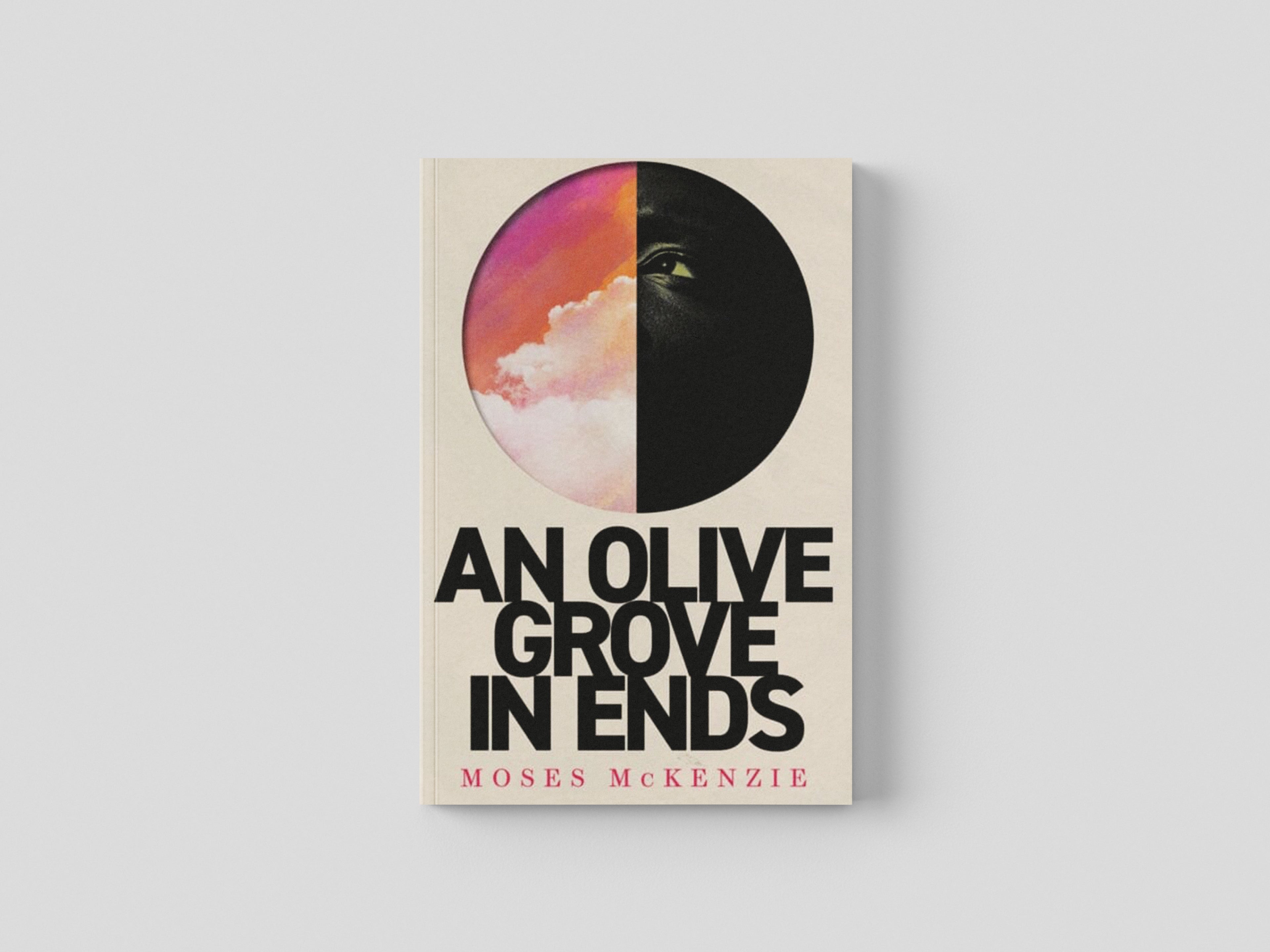 An Olive Grove in Ends Paperback / softback