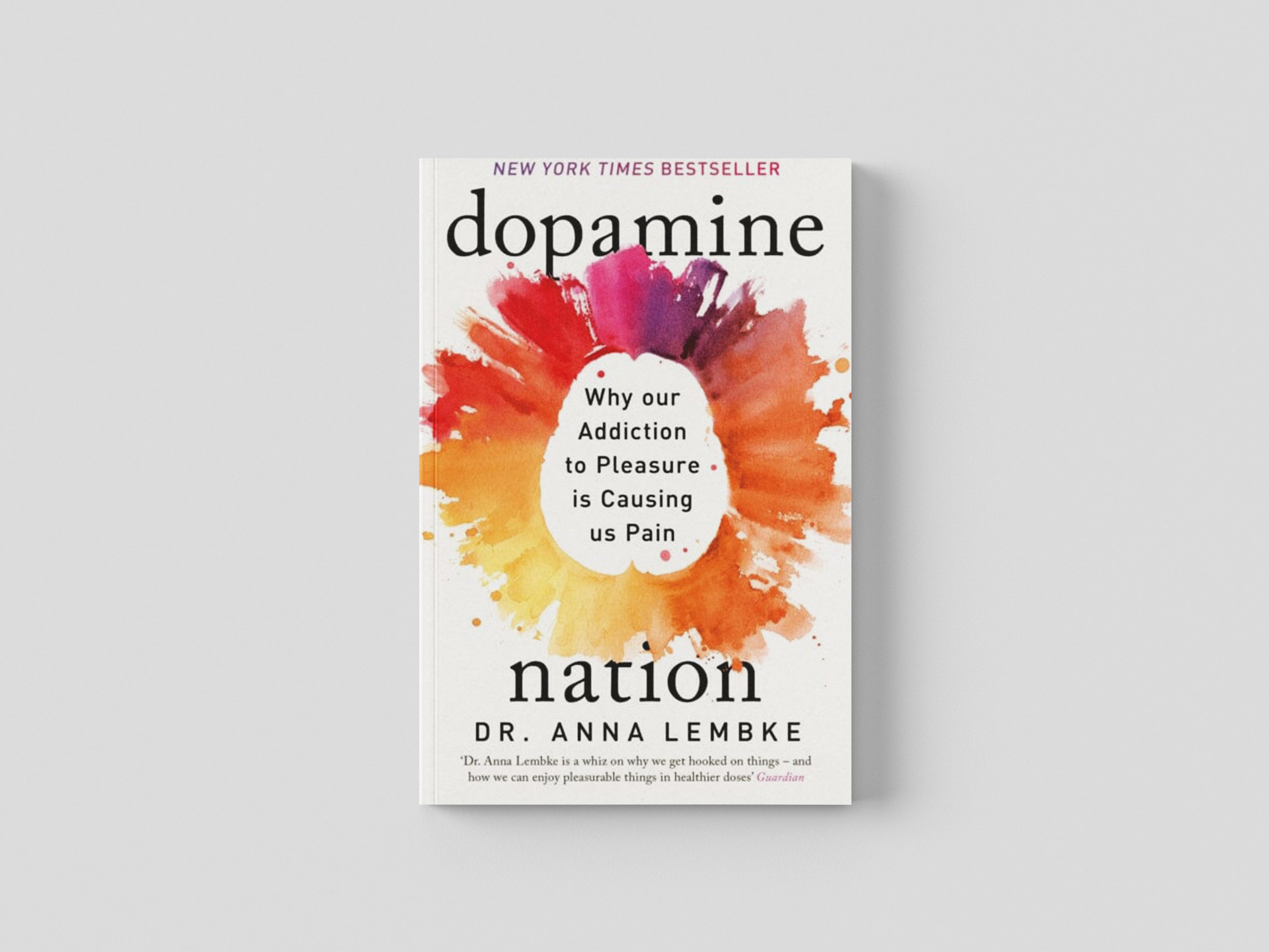 Dopamine Nation Paperback / softback