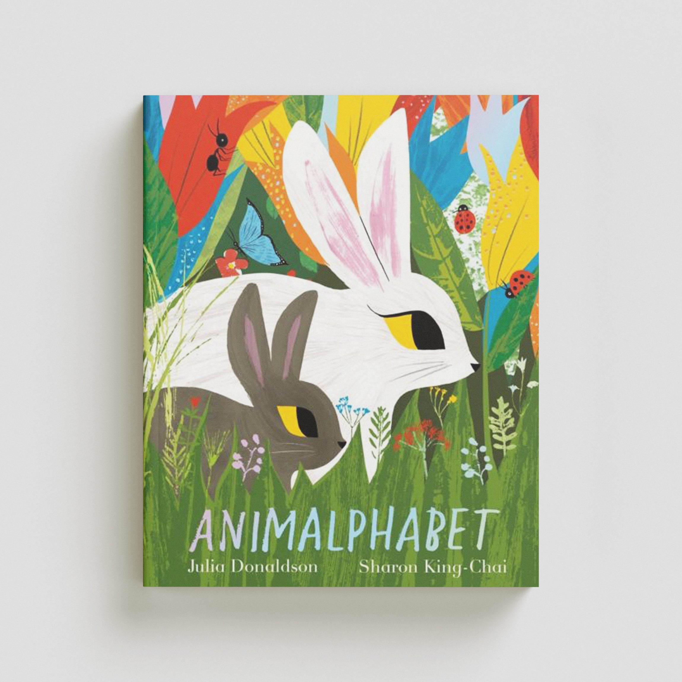 Animalphabet Paperback / softback