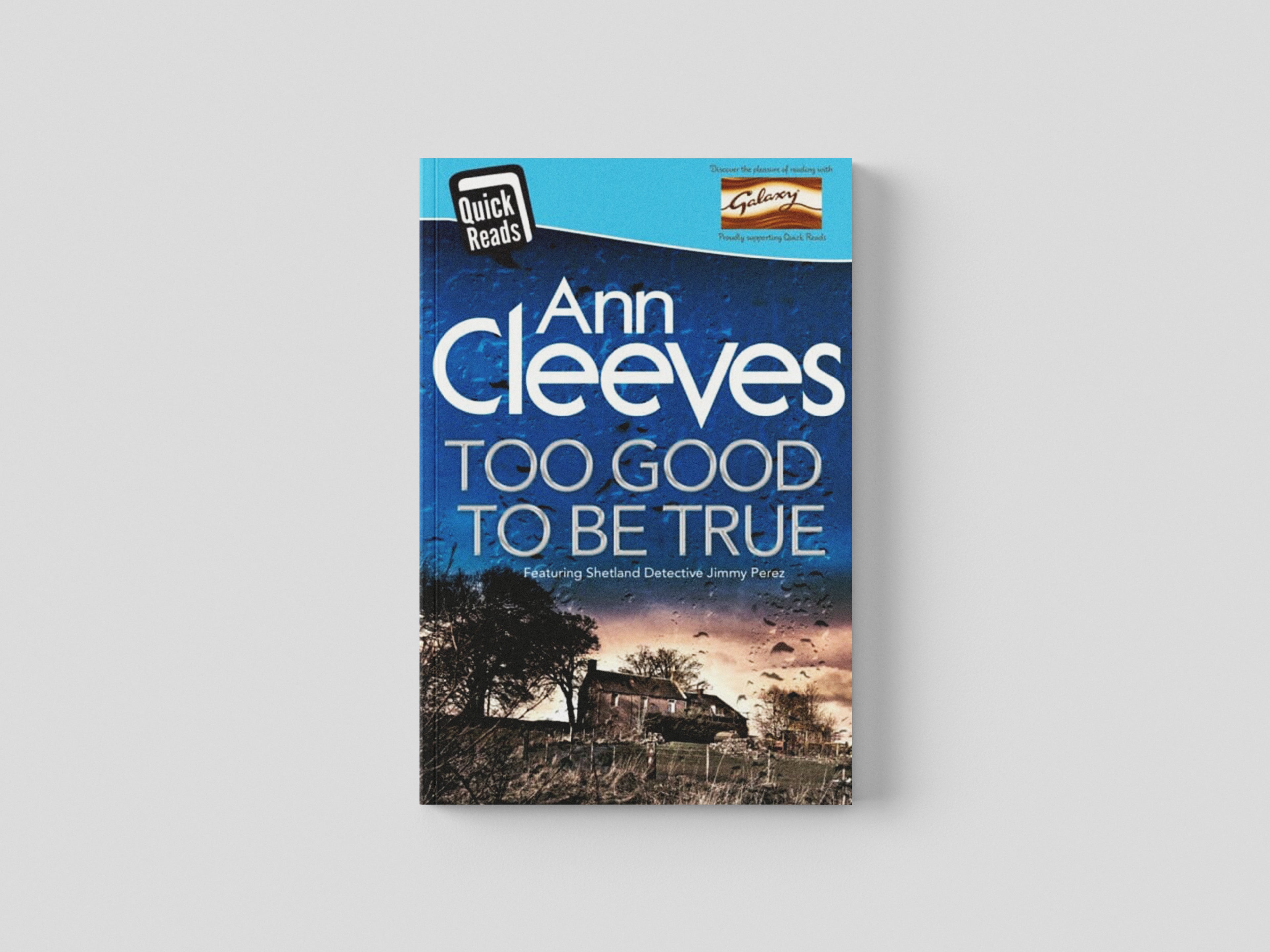 Too Good To Be True Paperback / softback