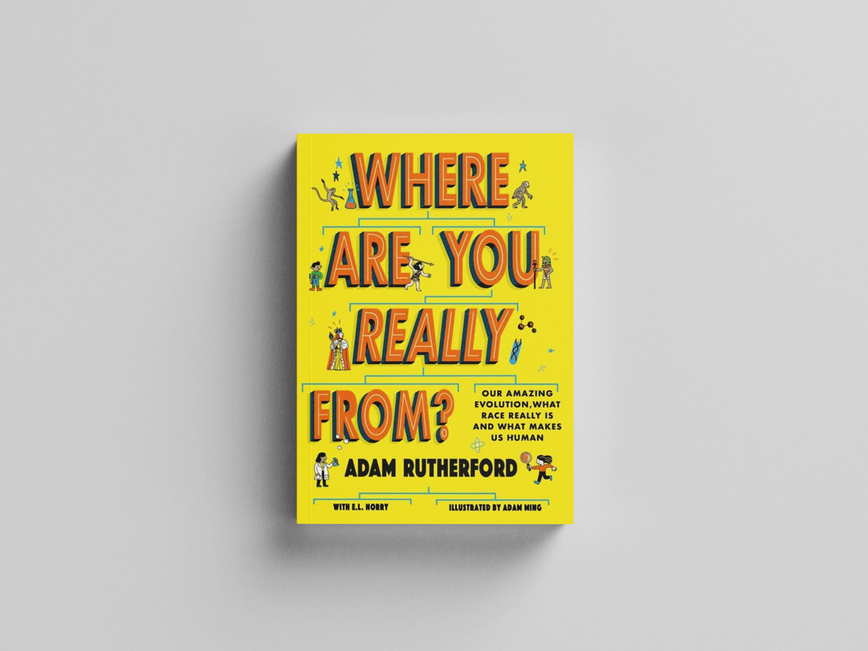 Where Are You Really From? Paperback / softback