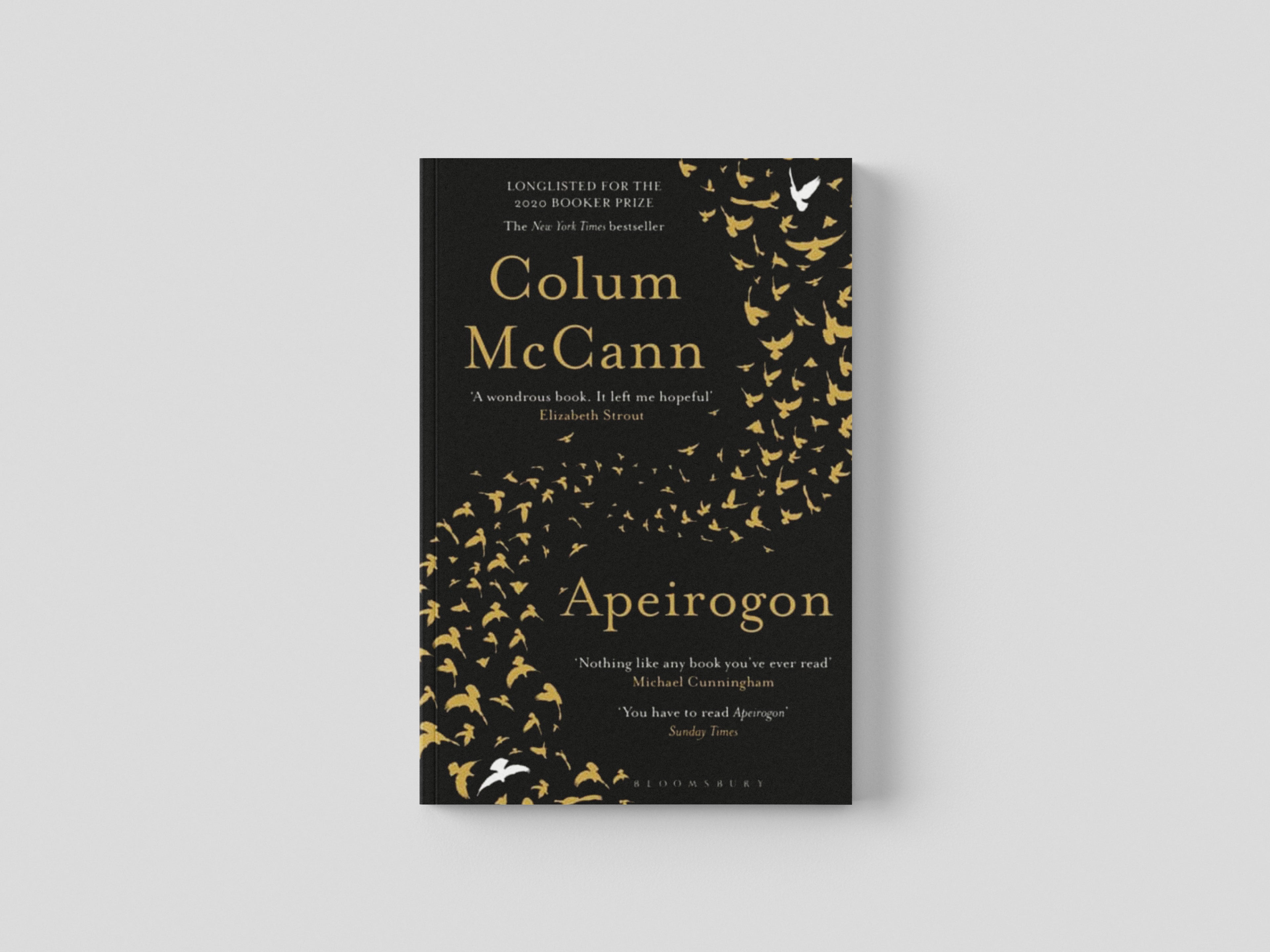 Apeirogon Paperback / softback