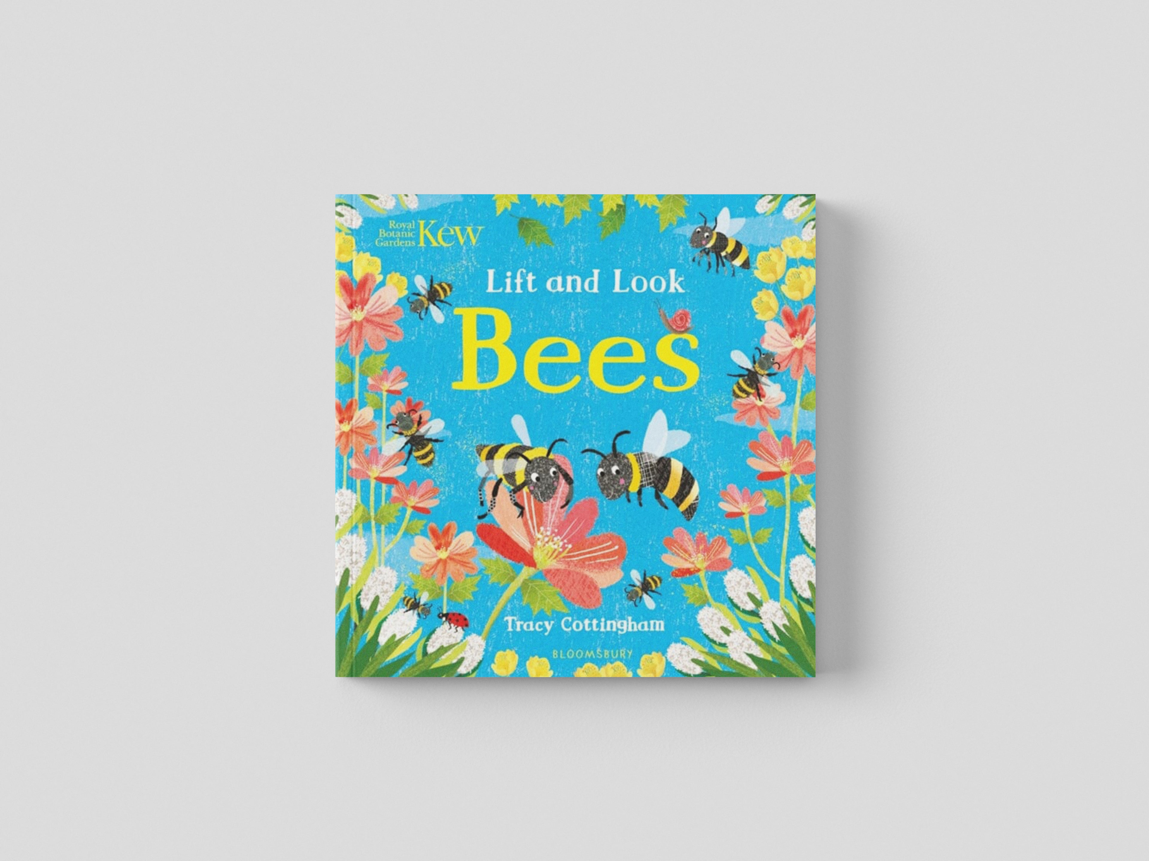 Kew: Lift and Look Bees