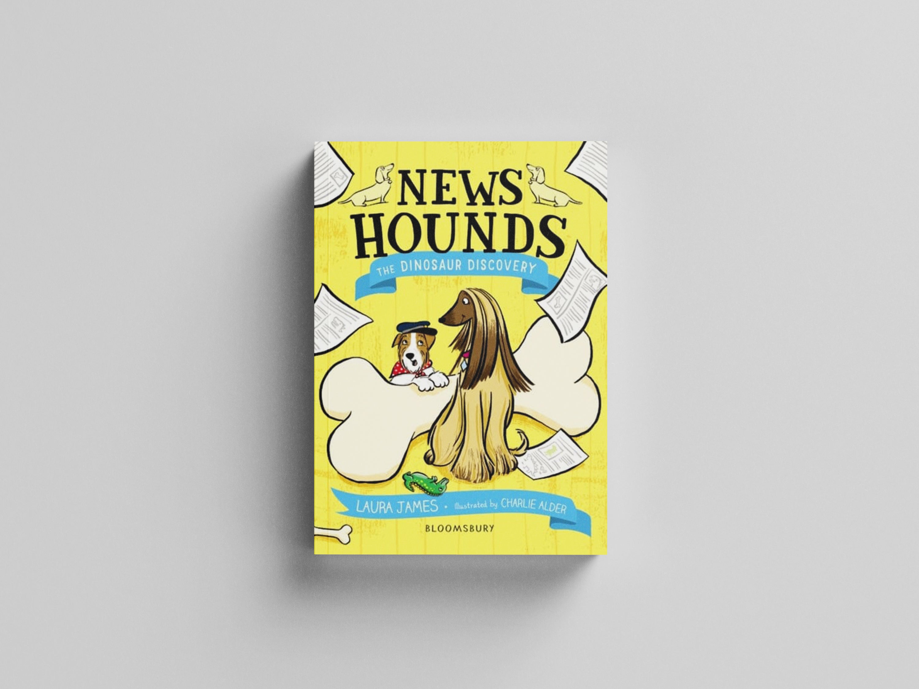 News Hounds: The Dinosaur Discovery Paperback / softback