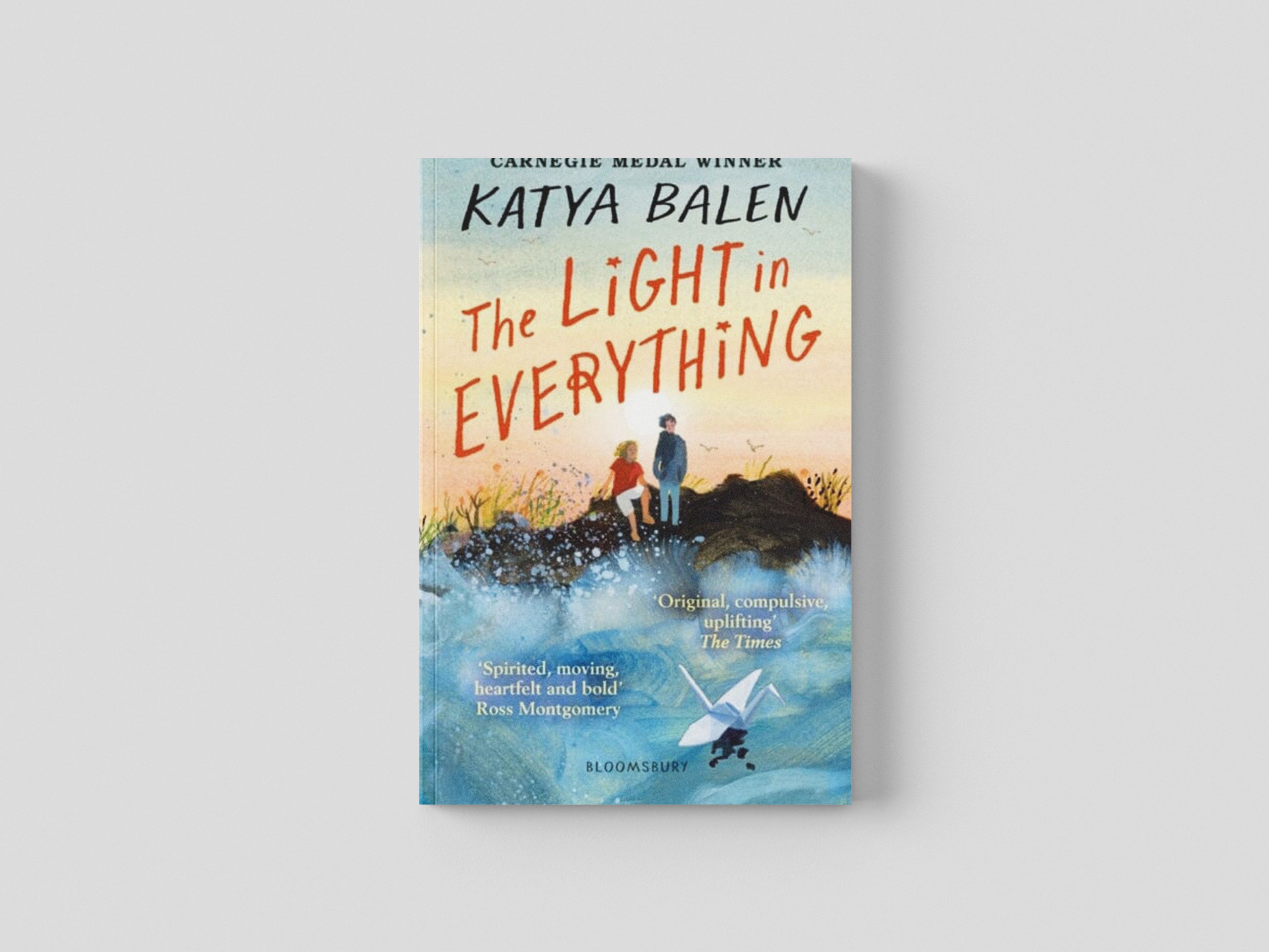 The Light in Everything Paperback / softback