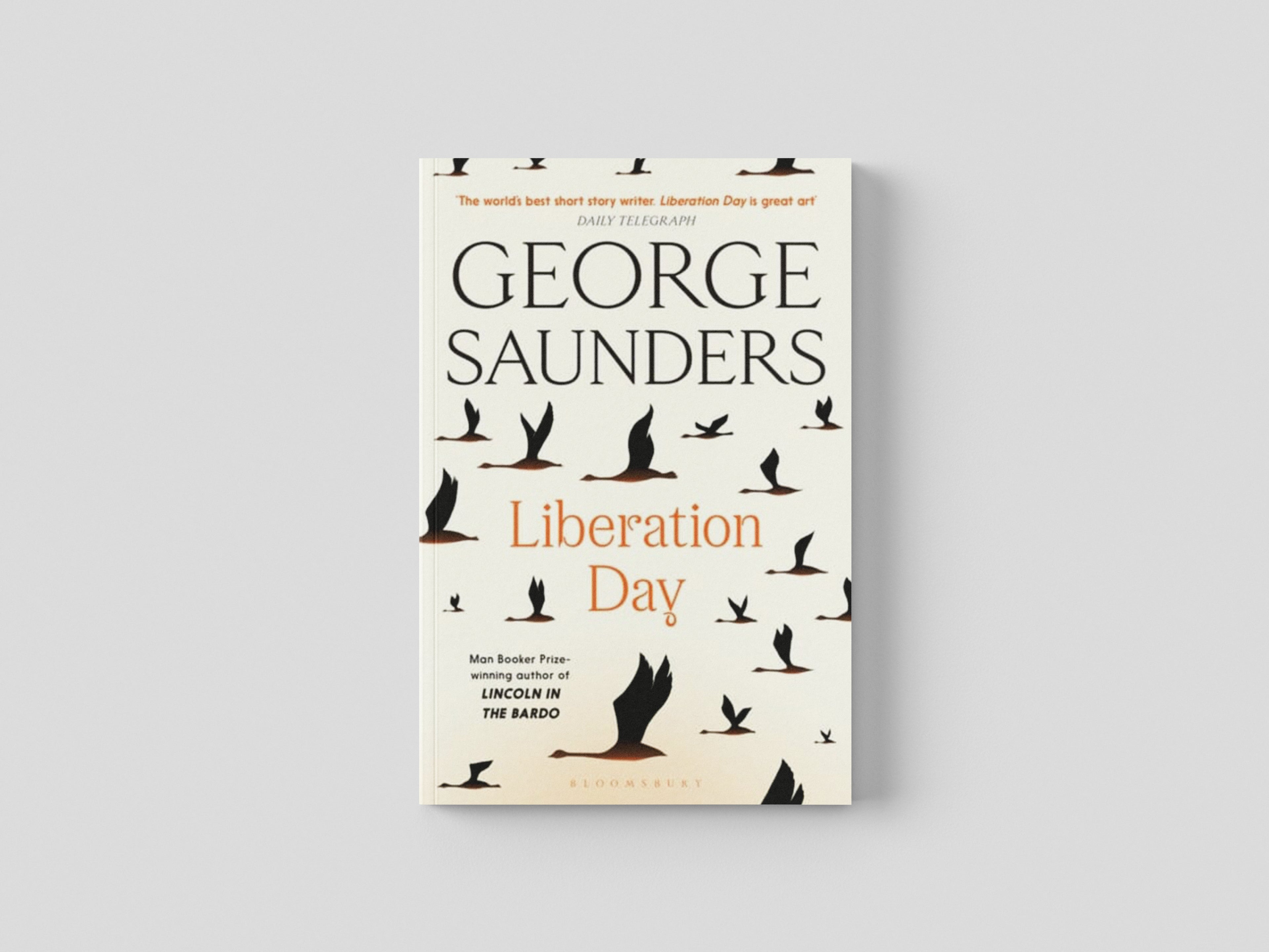 Liberation Day Paperback / softback