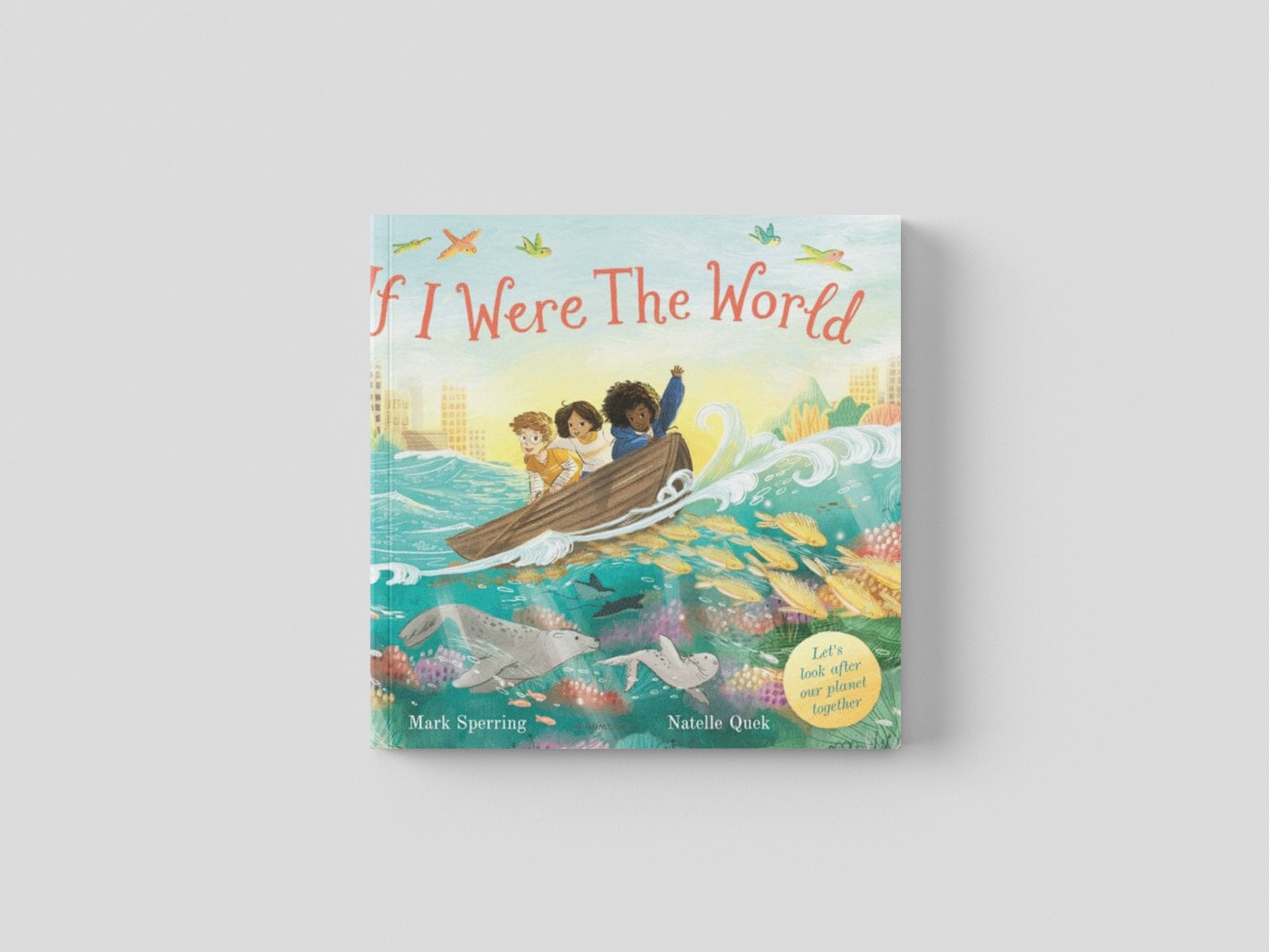 If I Were the World Paperback / softback