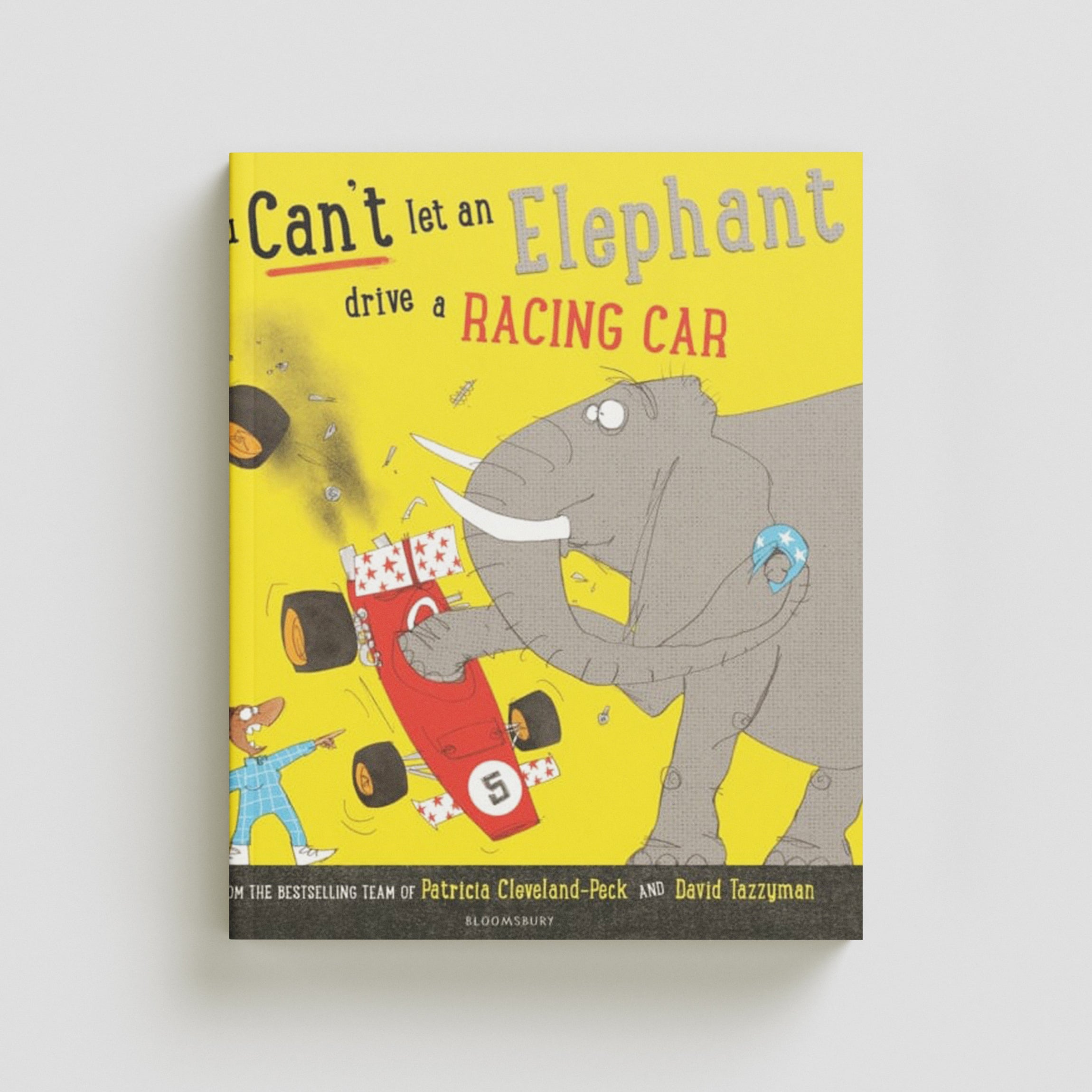 You Can't Let an Elephant Drive a Racing Car Paperback / softback