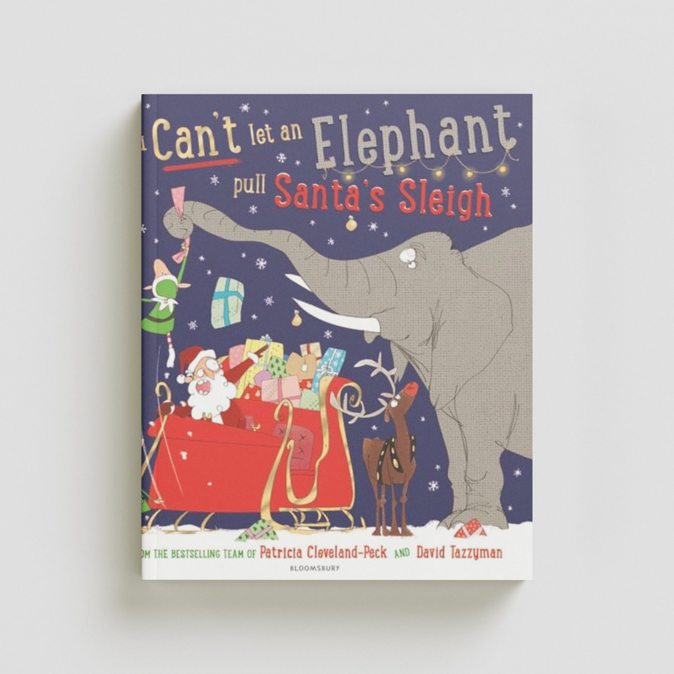 You Can't Let an Elephant Pull Santa's Sleigh Paperback / softback