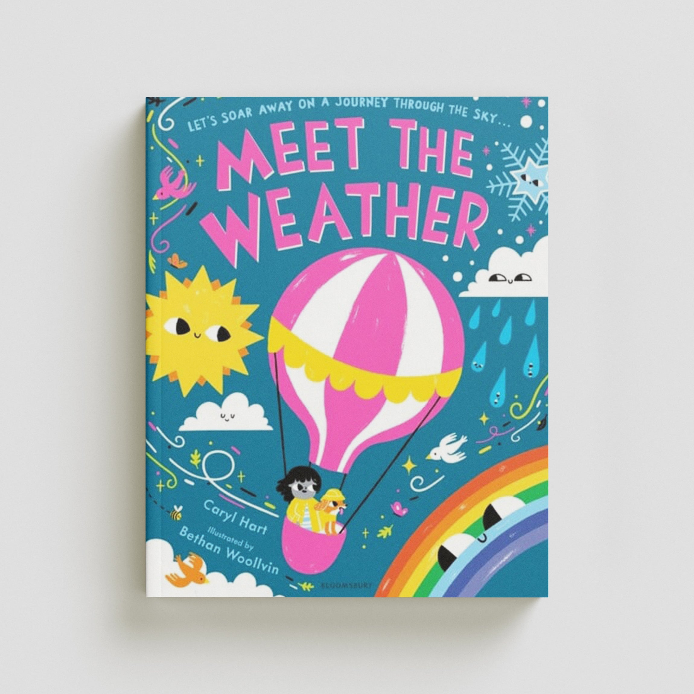 Meet the Weather Paperback / softback
