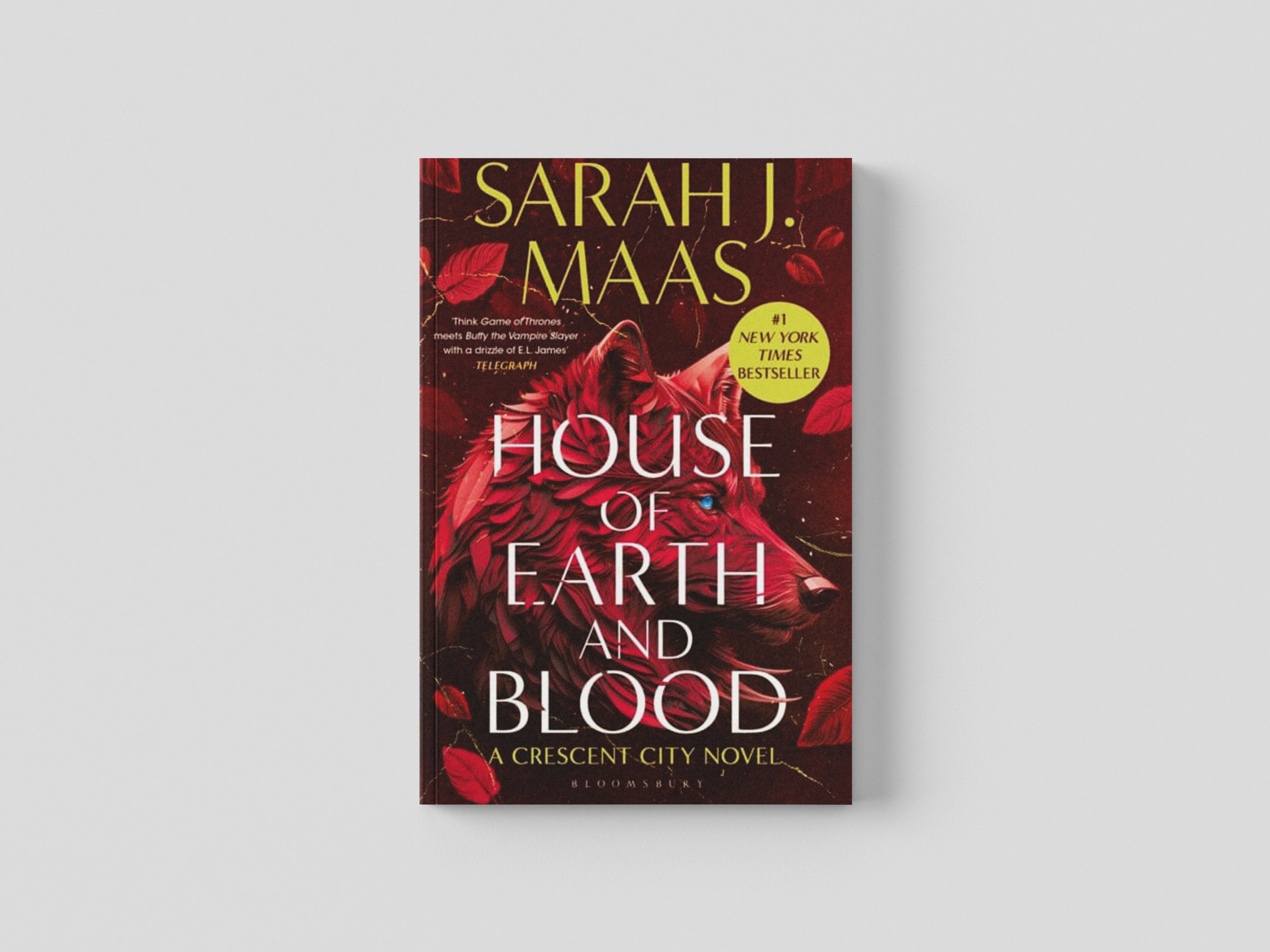 House of Earth and Blood Paperback / softback