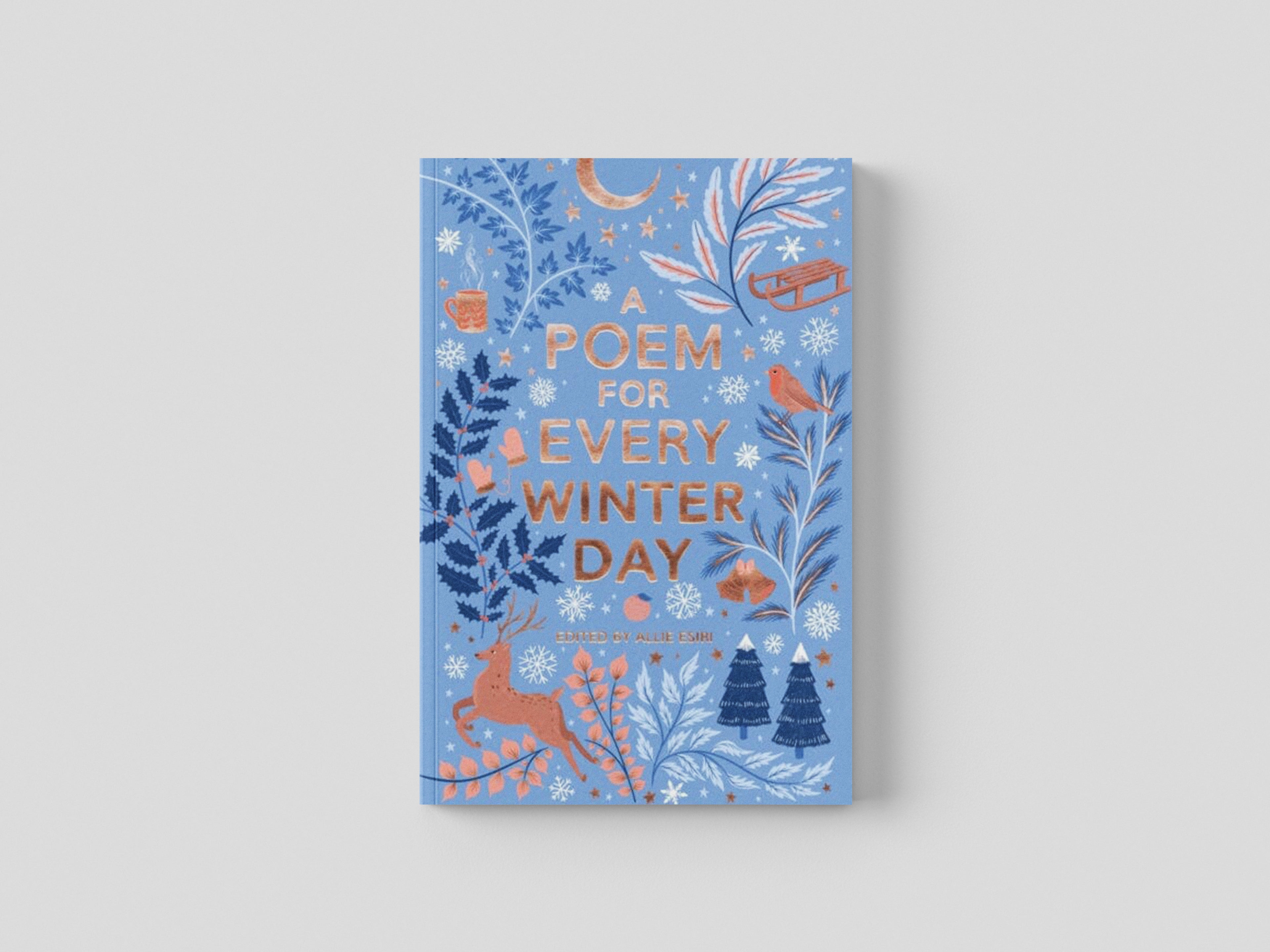 A Poem for Every Winter Day Paperback / softback