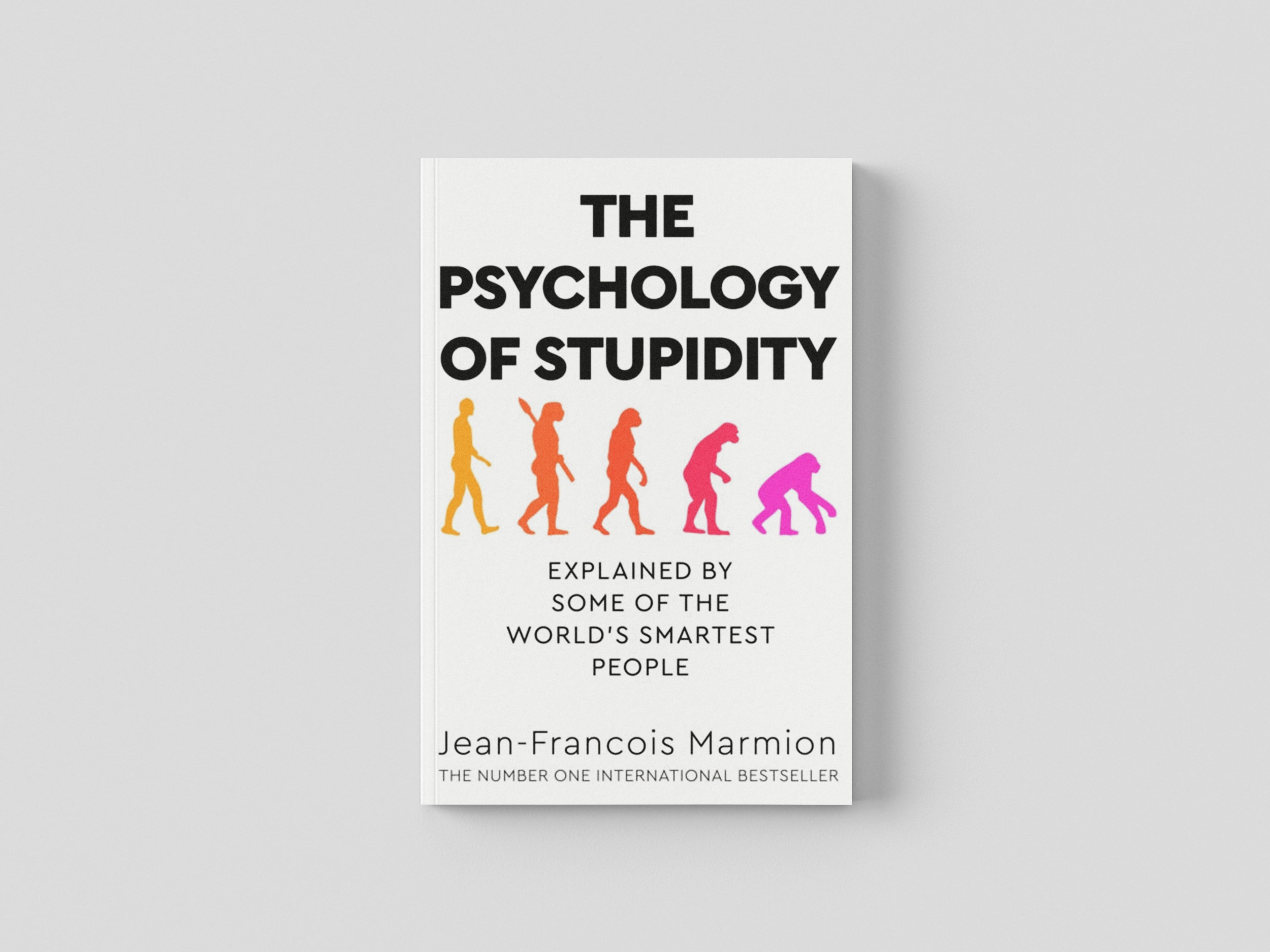 The Psychology of Stupidity Paperback / softback