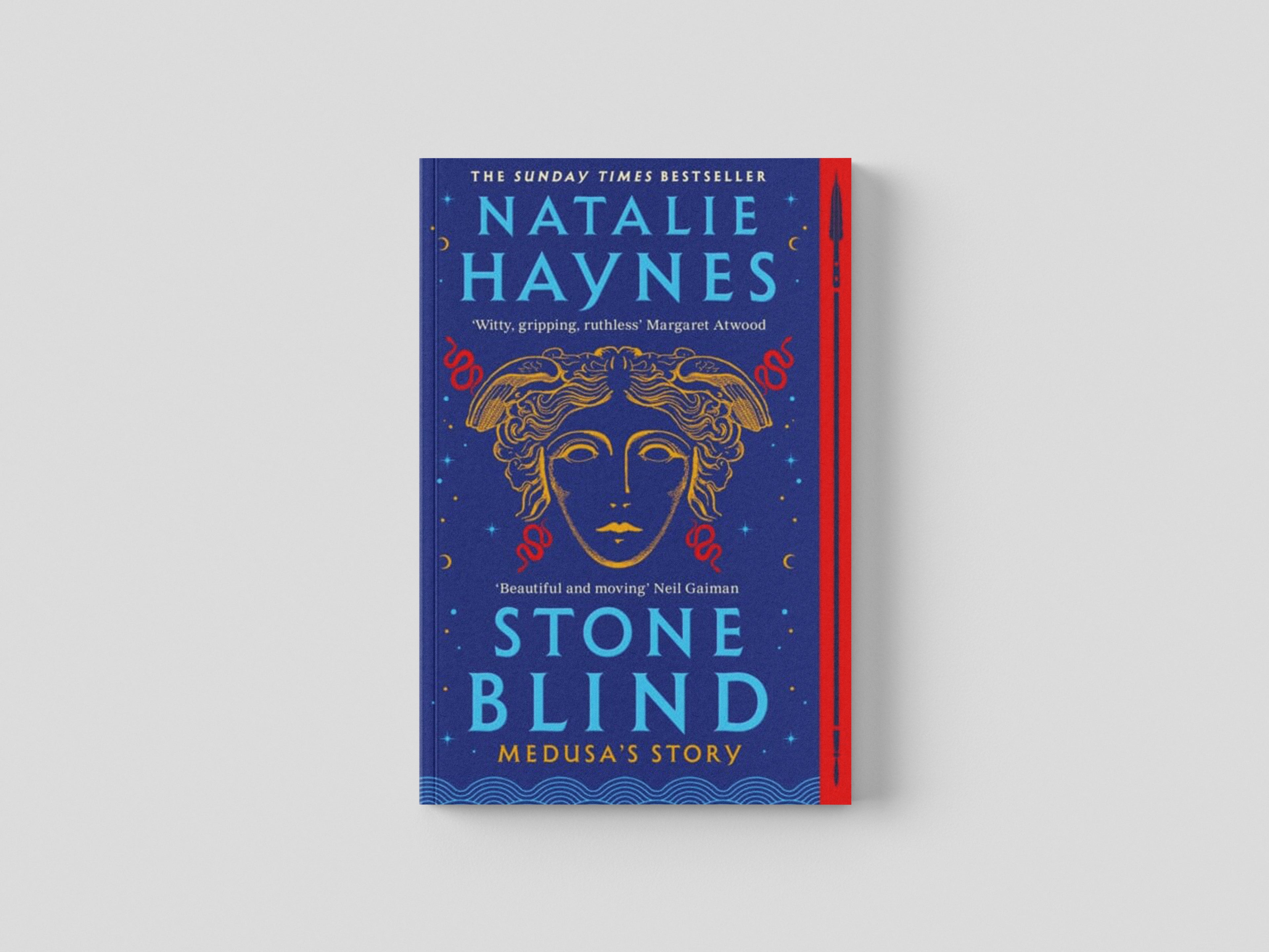 Stone Blind Paperback / softback