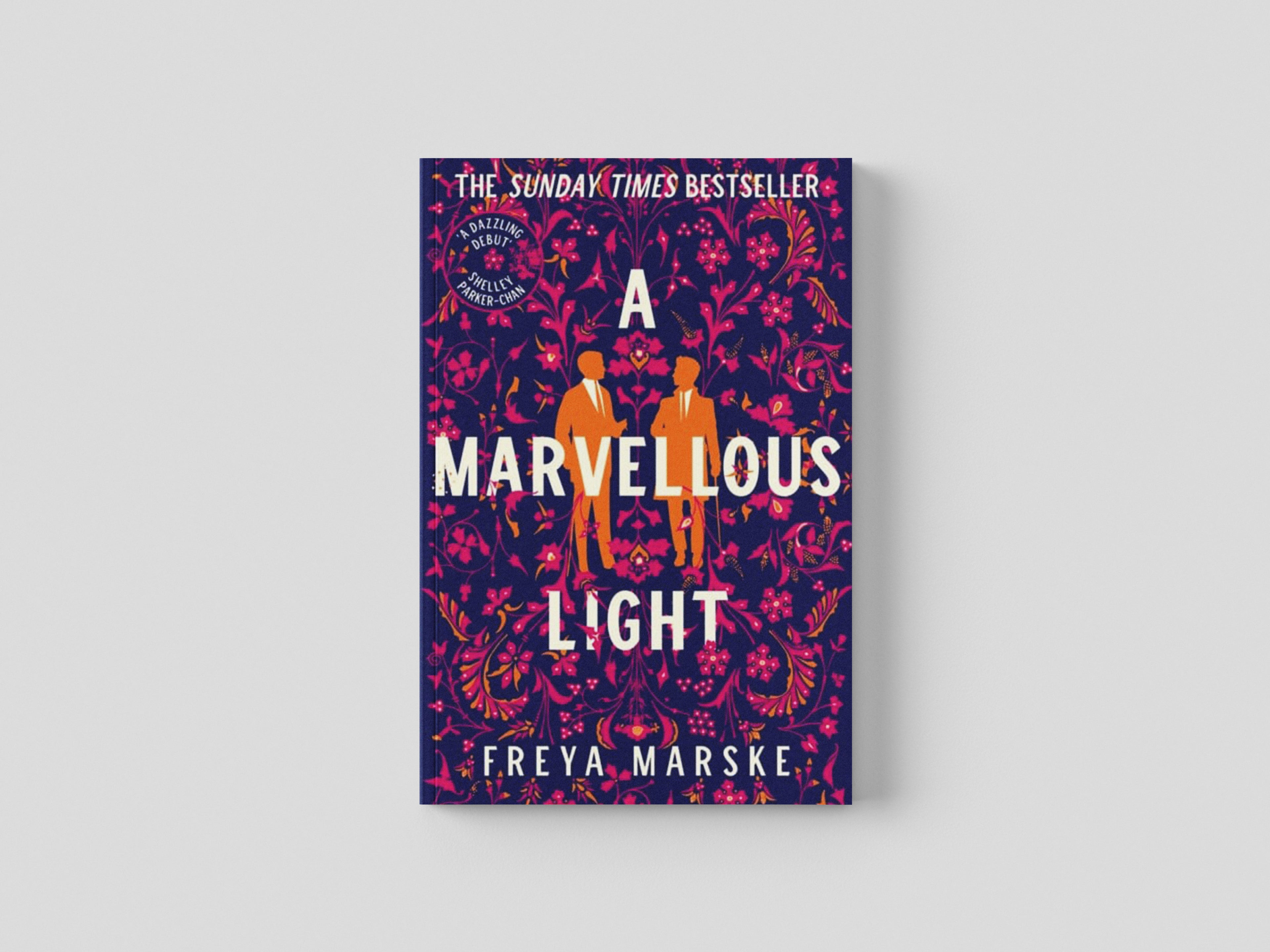 A Marvellous Light Paperback / softback
