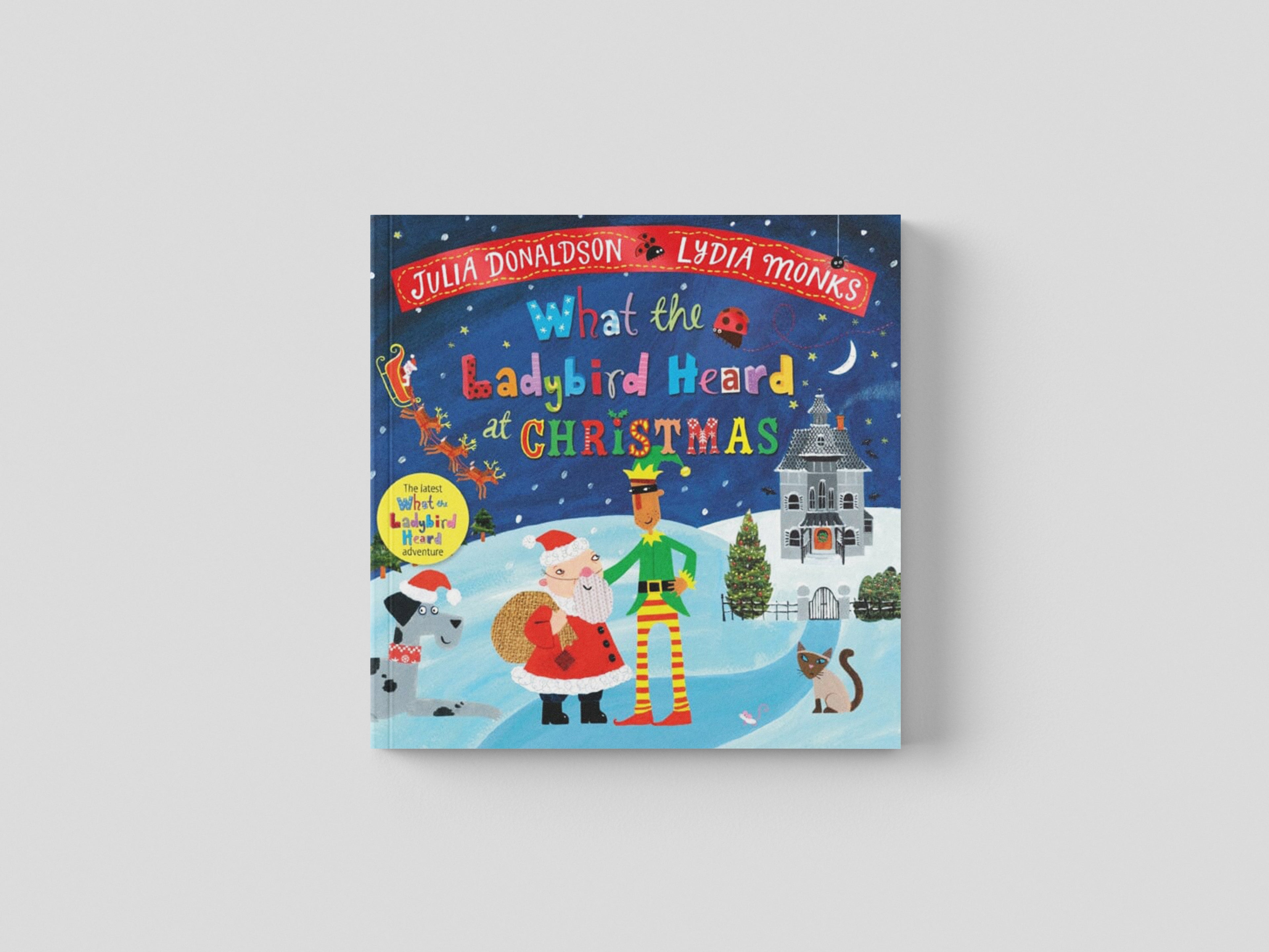 What the Ladybird Heard at Christmas Paperback / softback