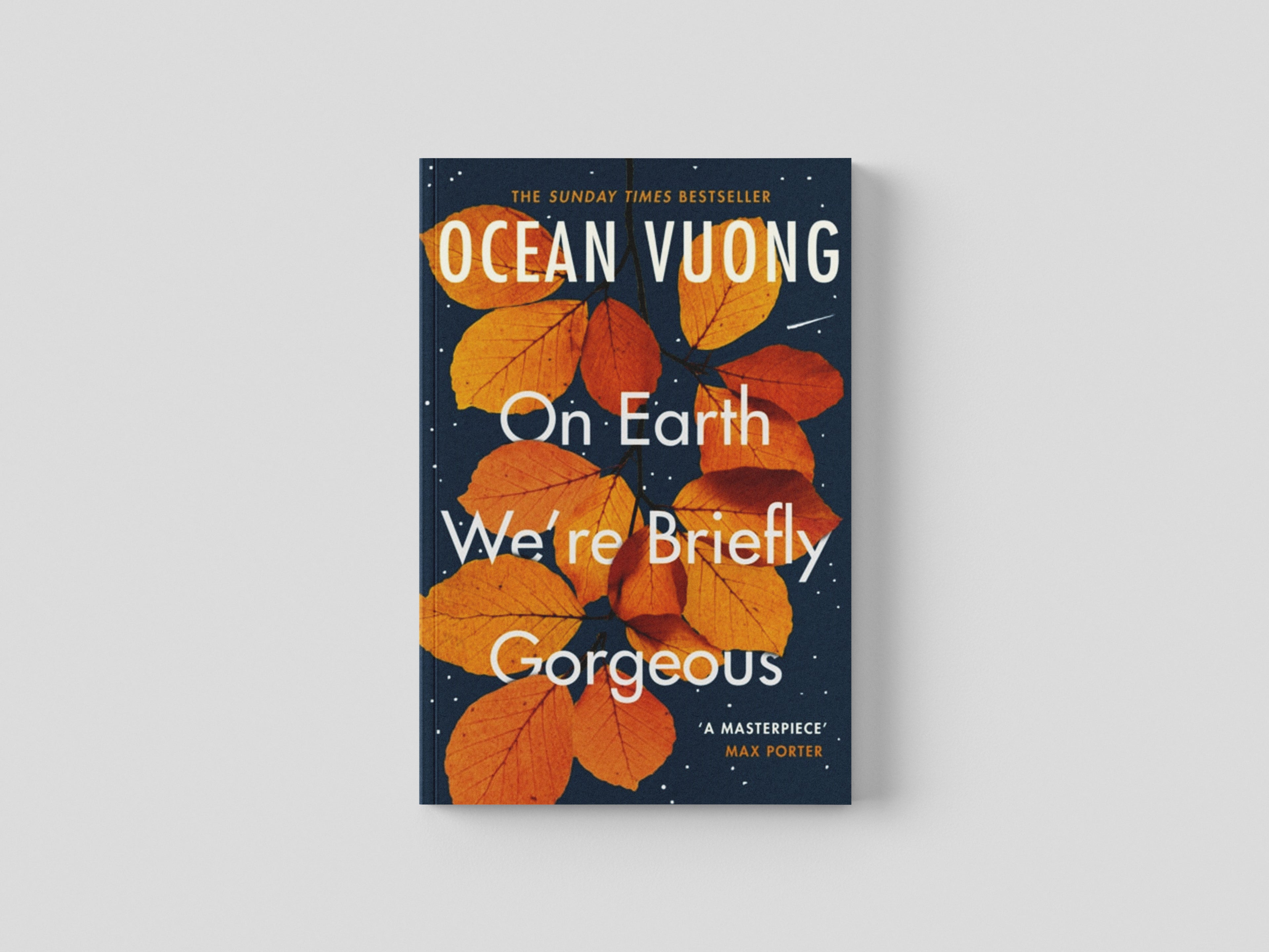 On Earth We're Briefly Gorgeous Paperback / softback