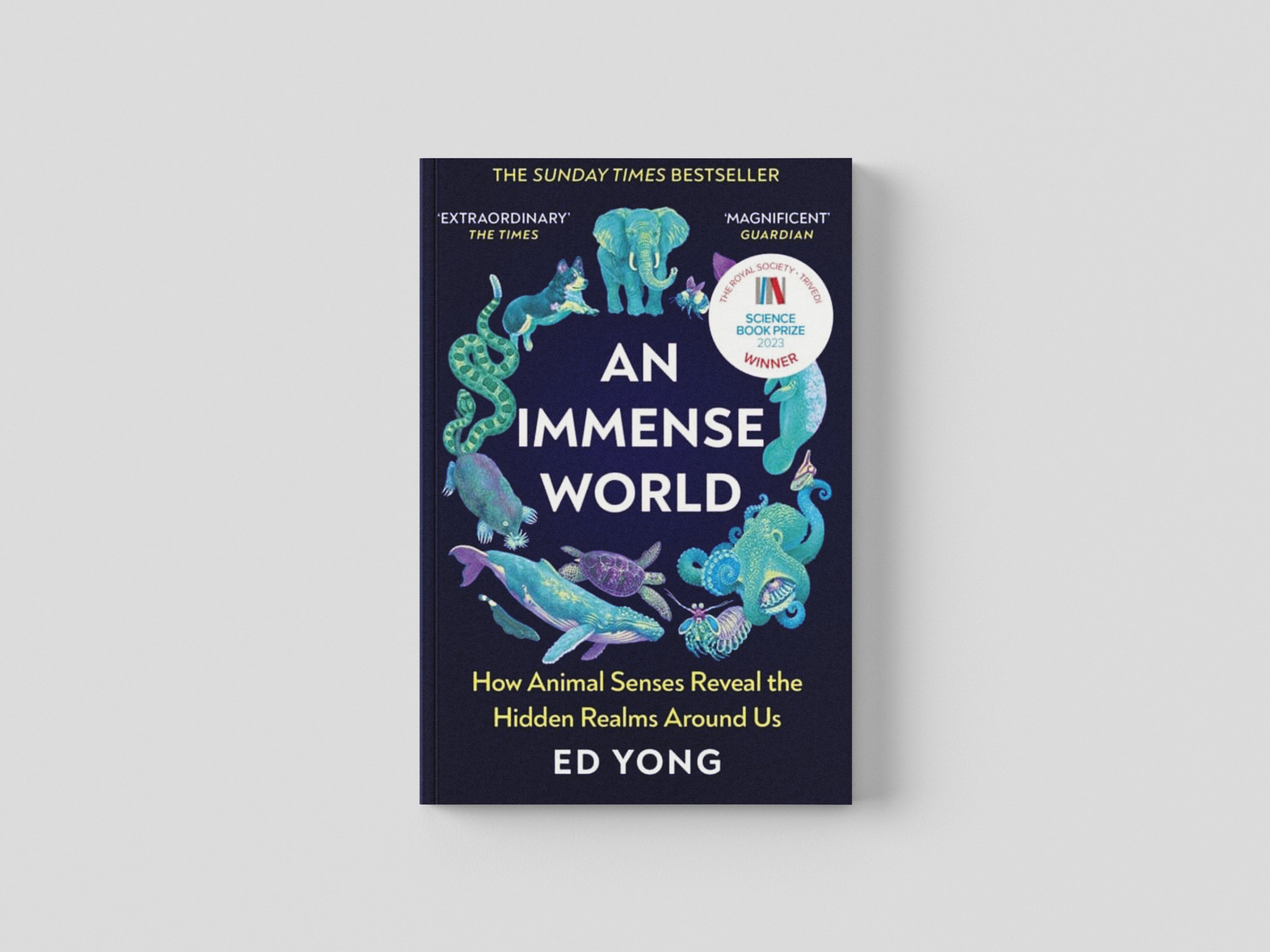 An Immense World Paperback / softback