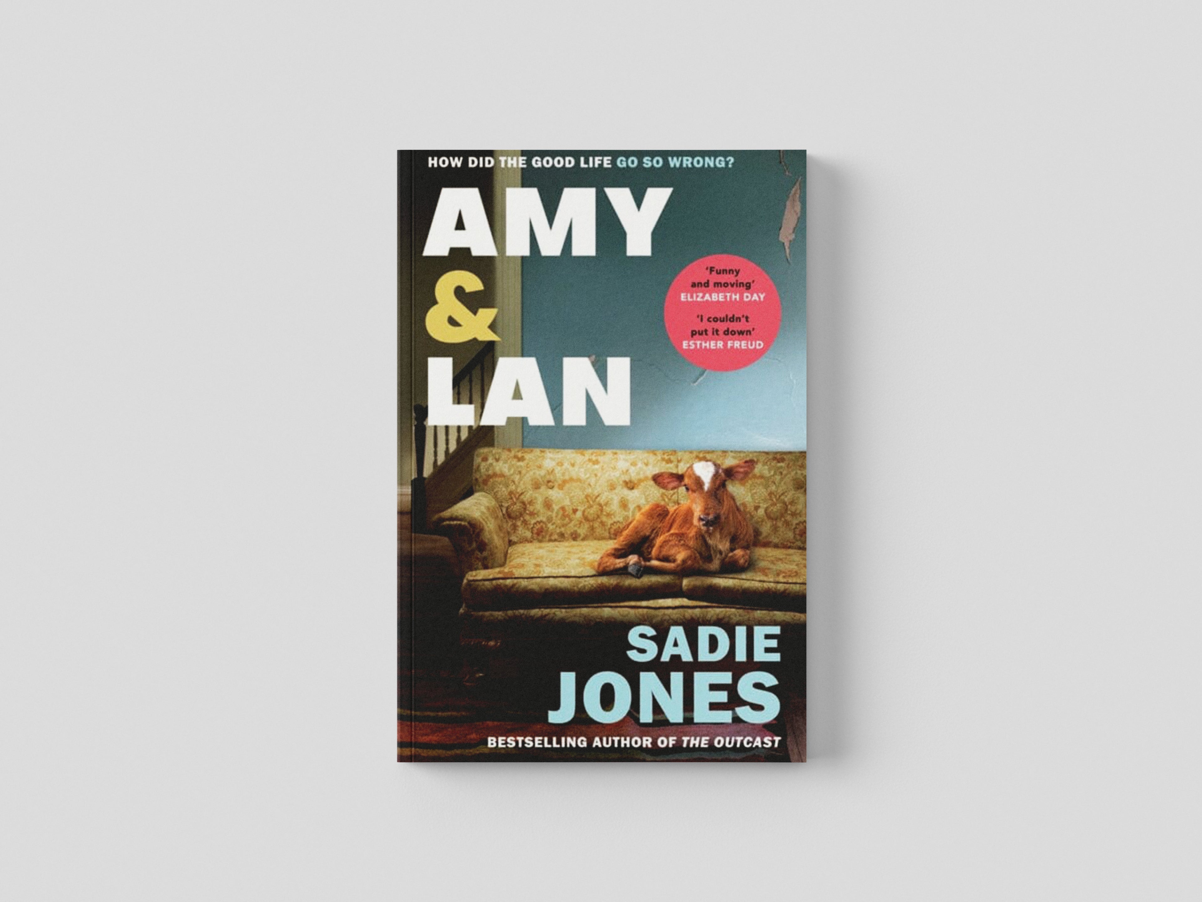 Amy and Lan Paperback / softback