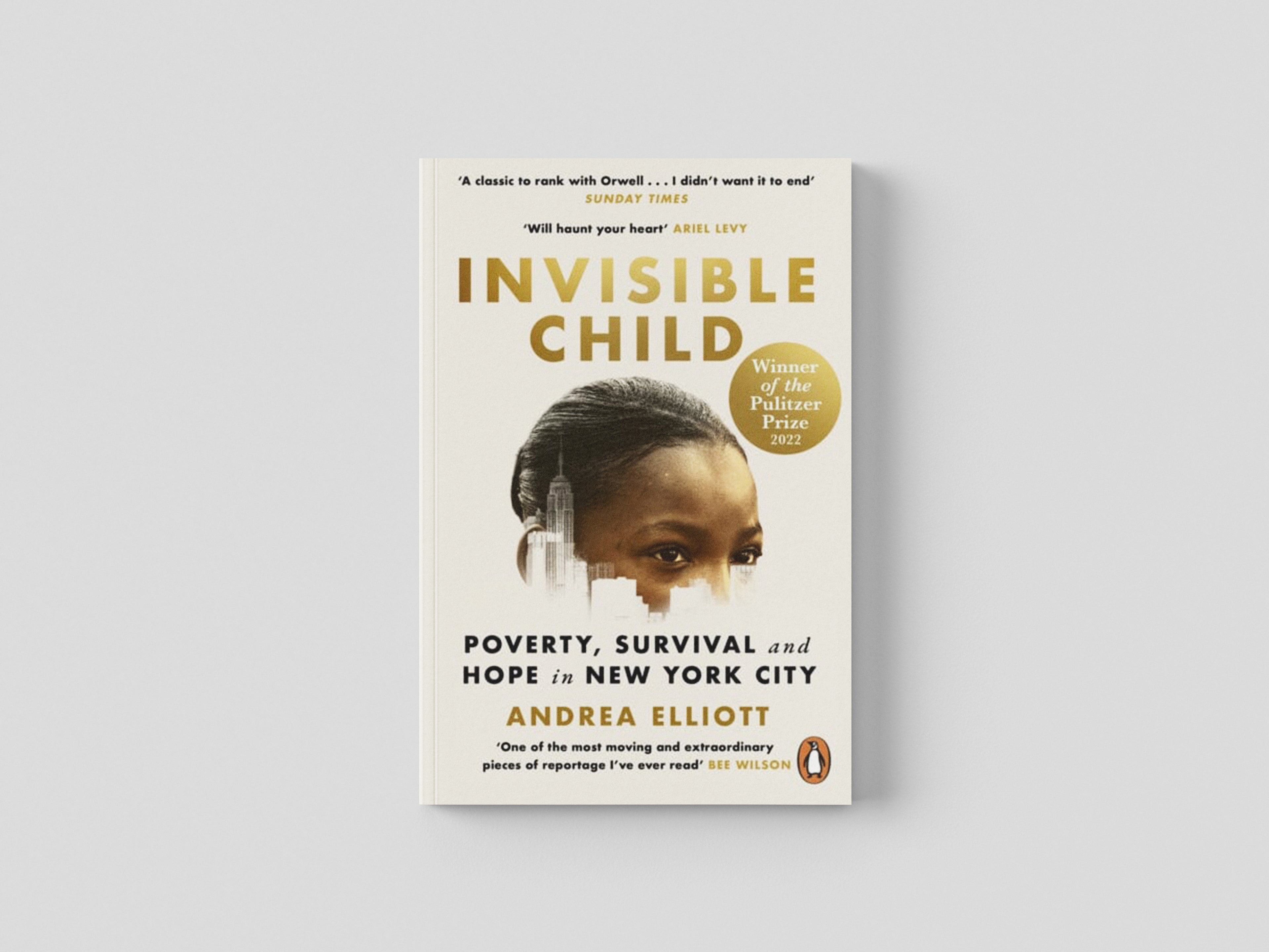 Invisible Child Paperback / softback