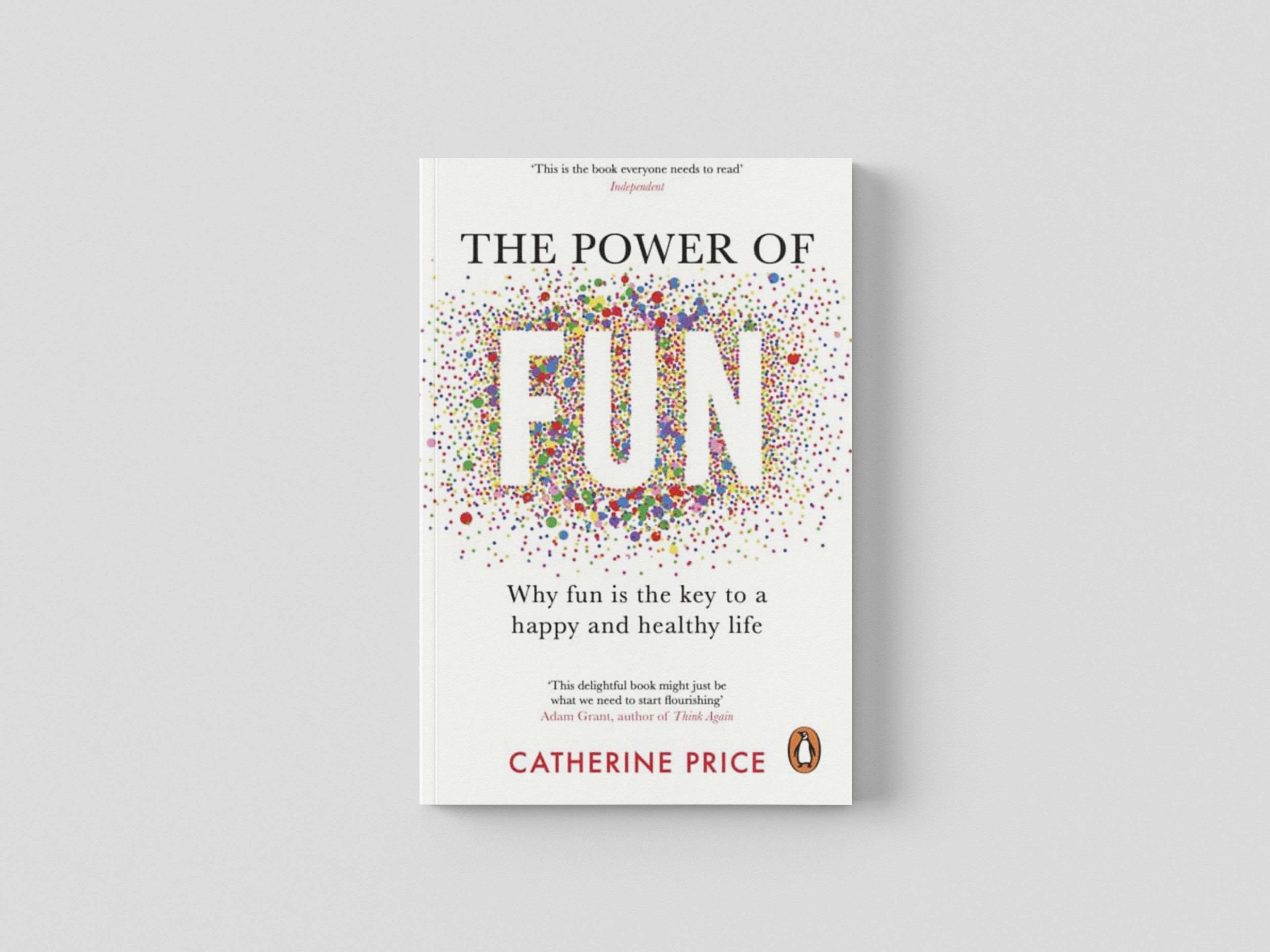 The Power of Fun Paperback / softback