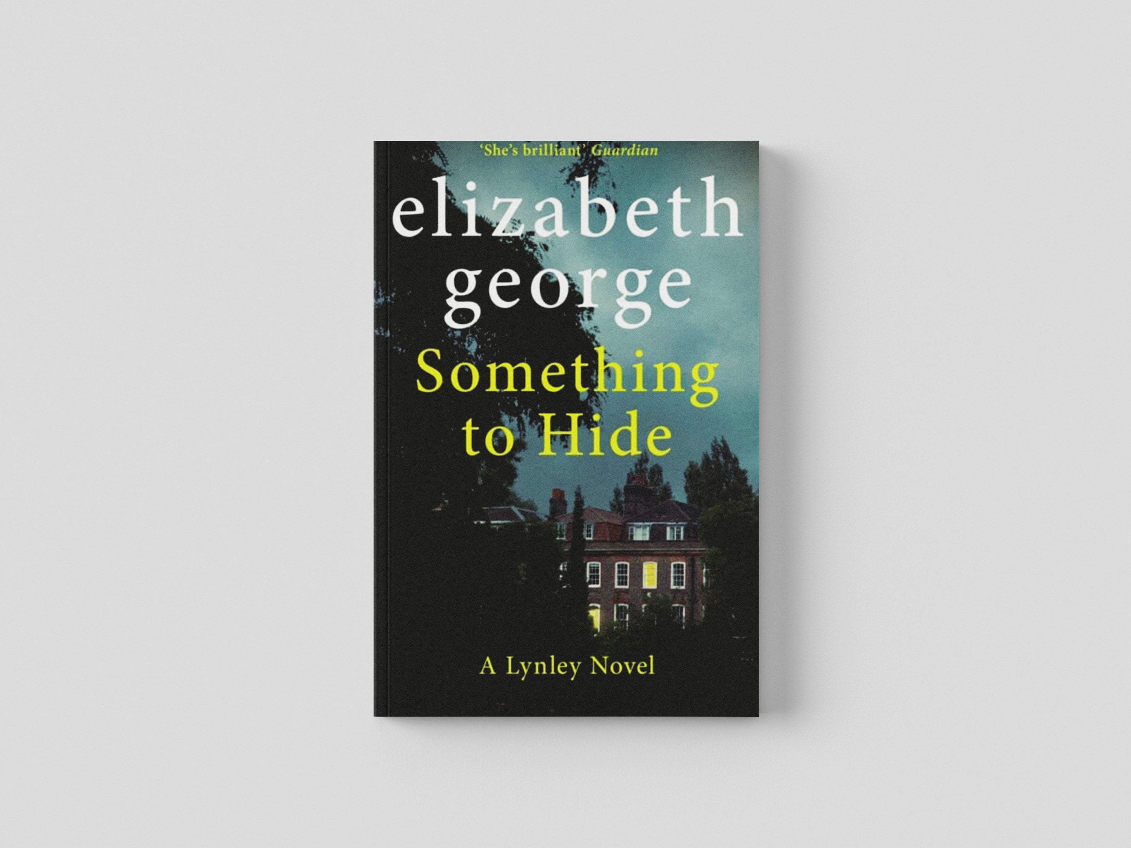 Something to Hide Paperback / softback