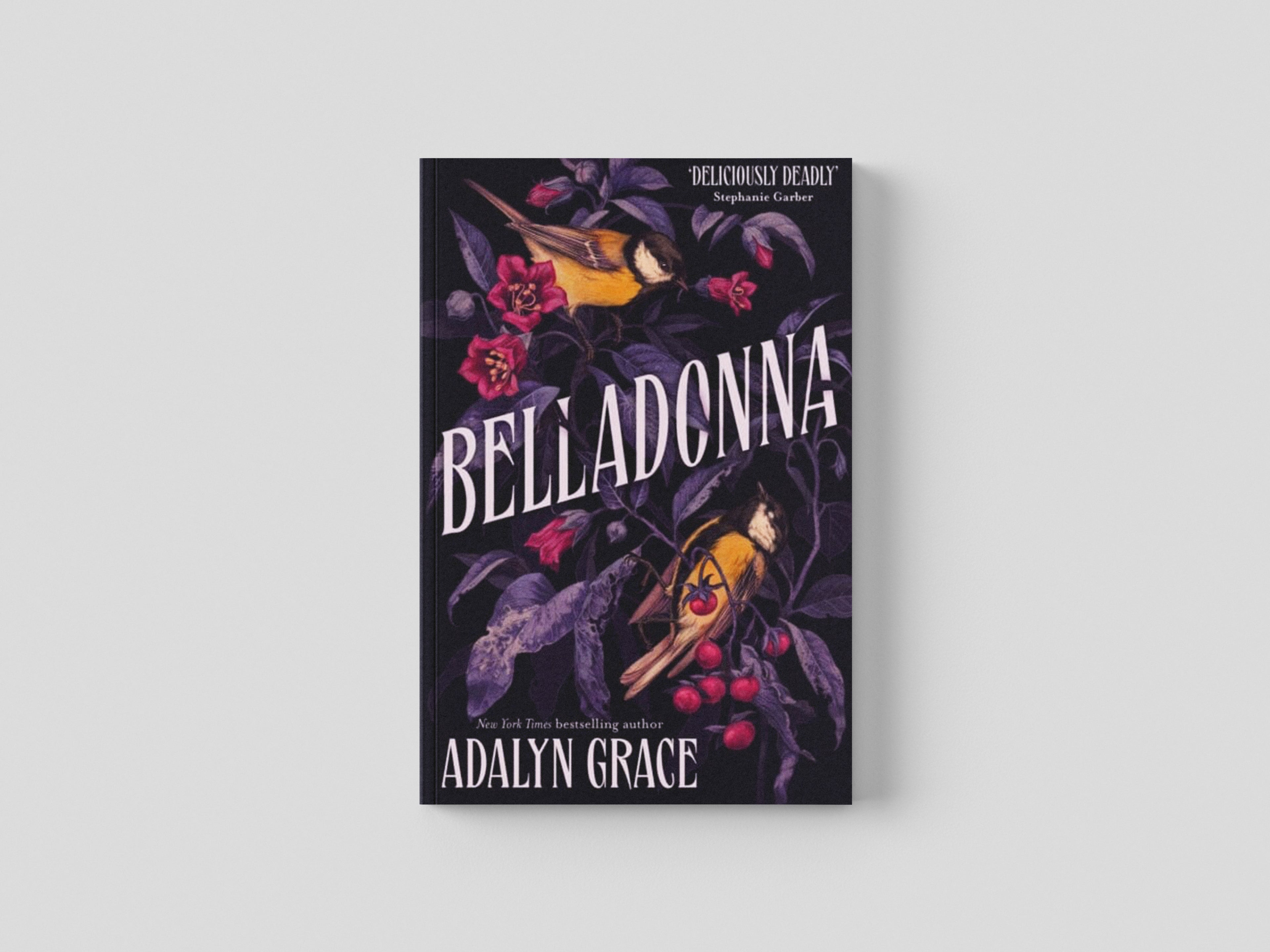 Belladonna Paperback / softback