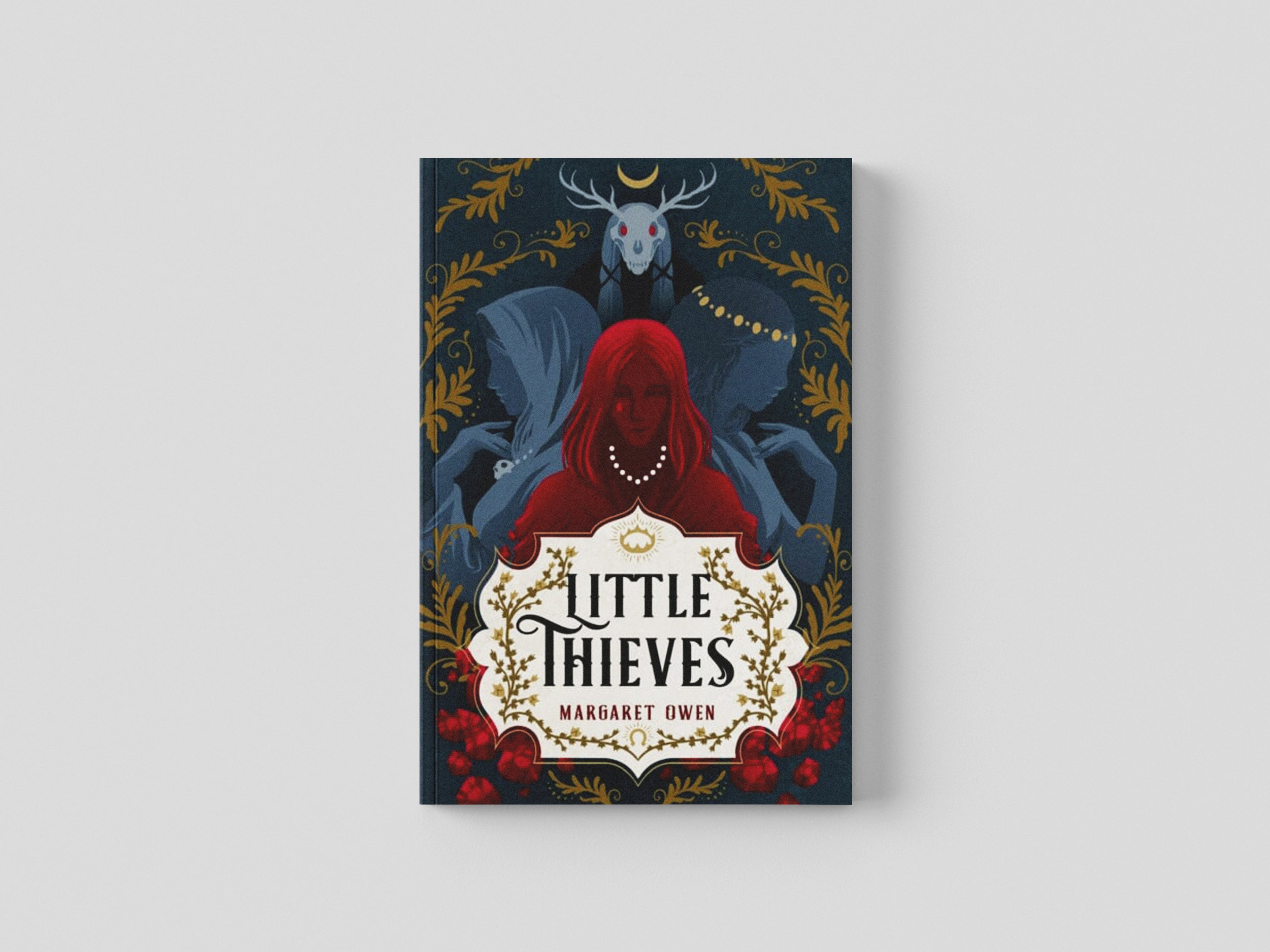 Little Thieves Paperback / softback