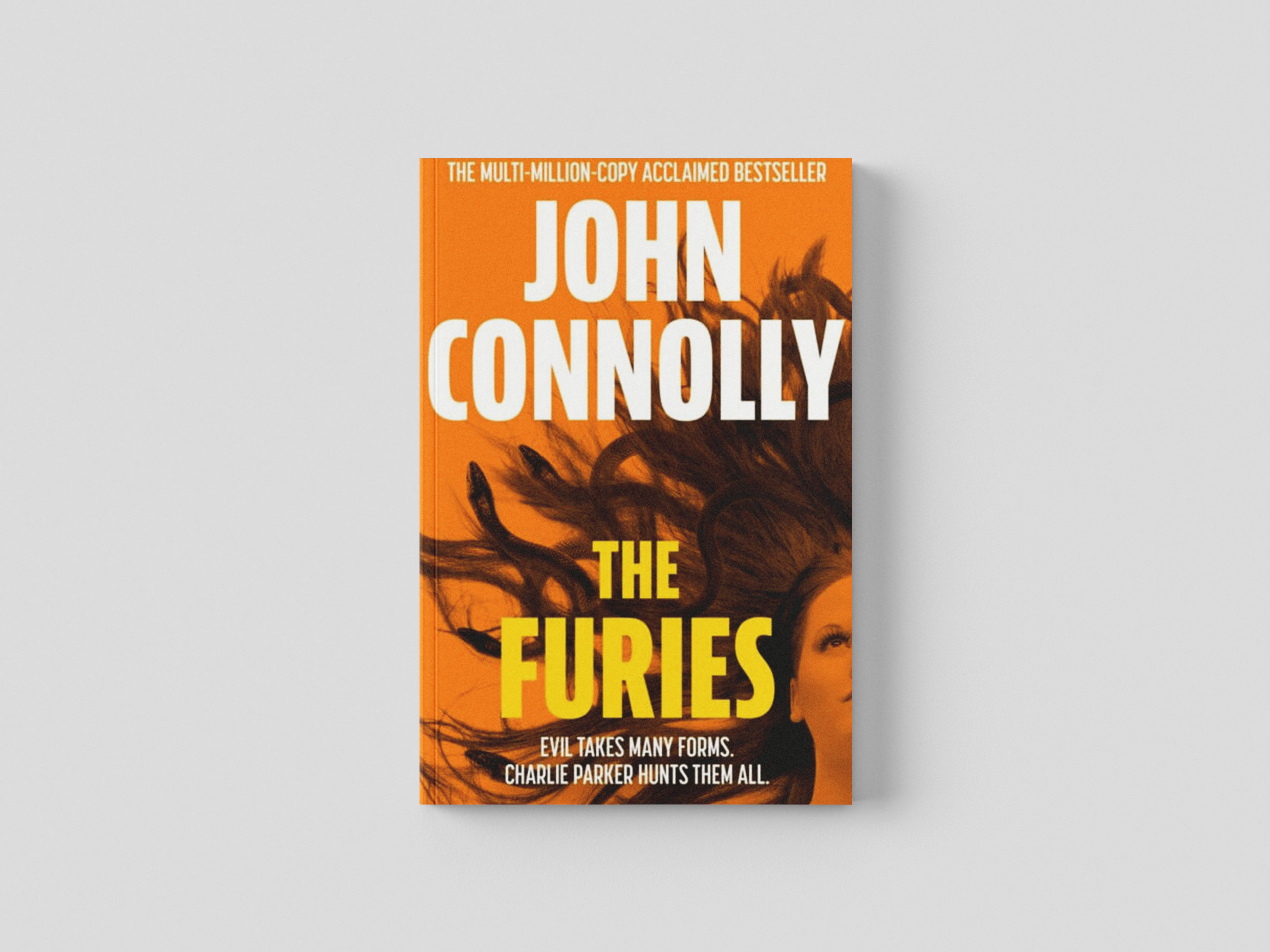 The Furies Paperback / softback
